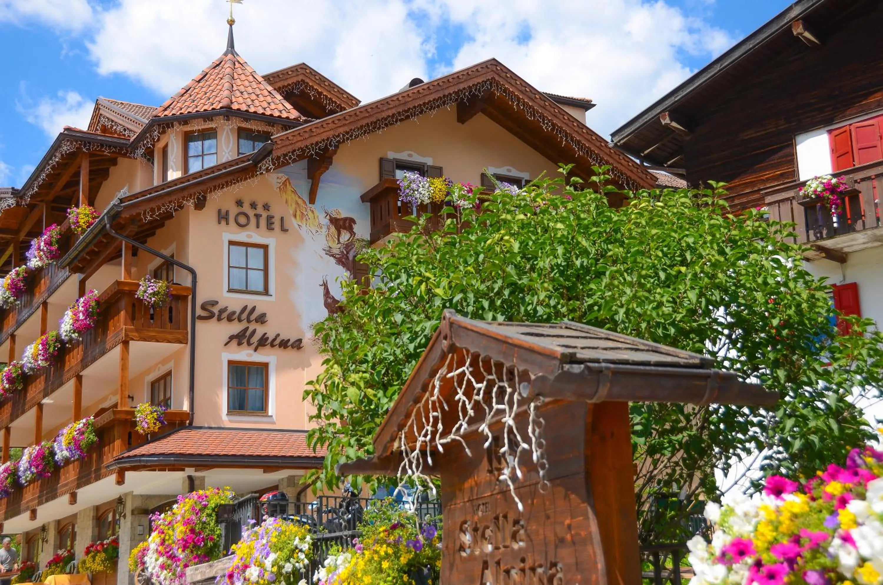 Facade/entrance in Hotel Stella Alpina