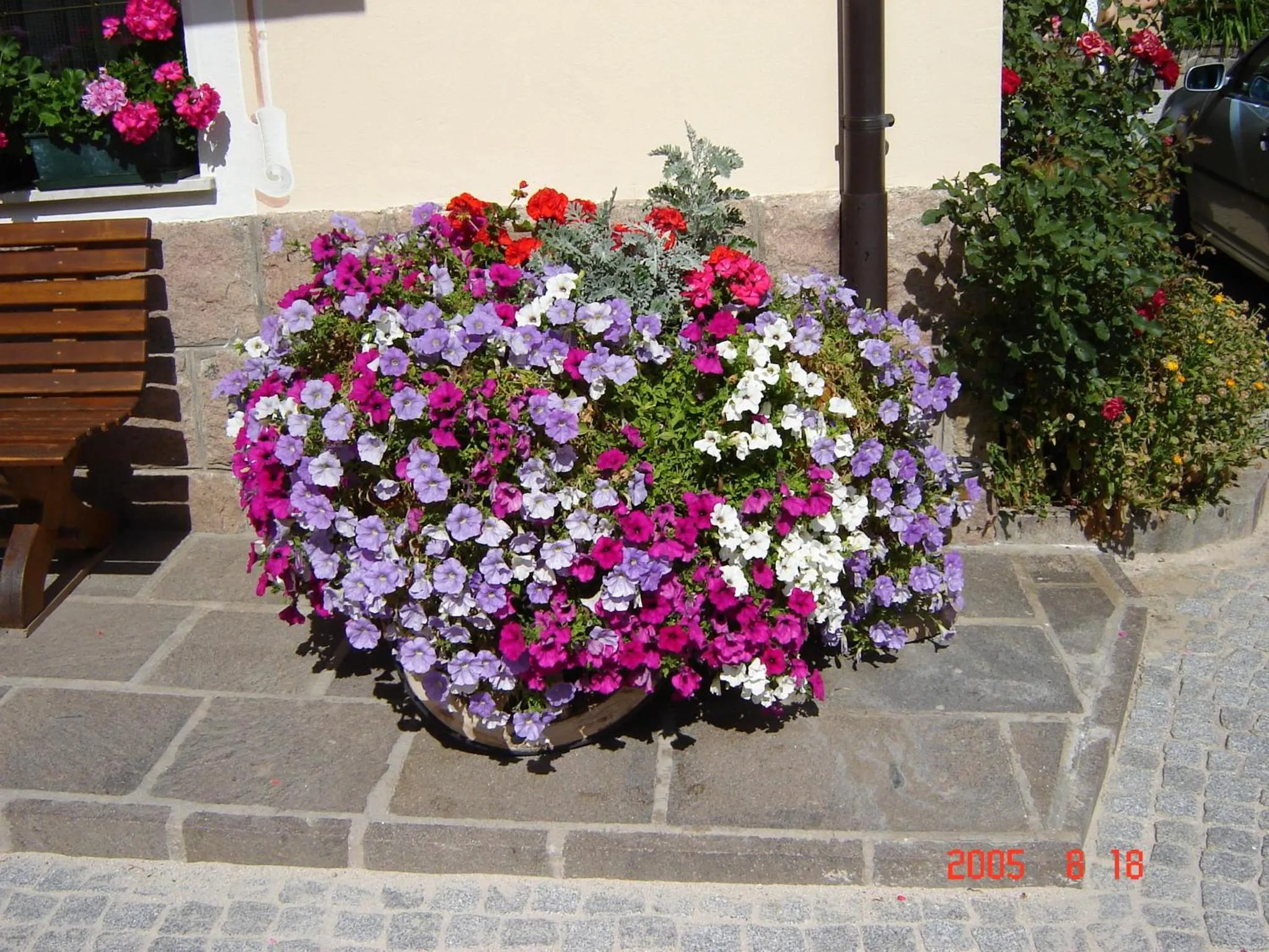 Other in Hotel Stella Alpina