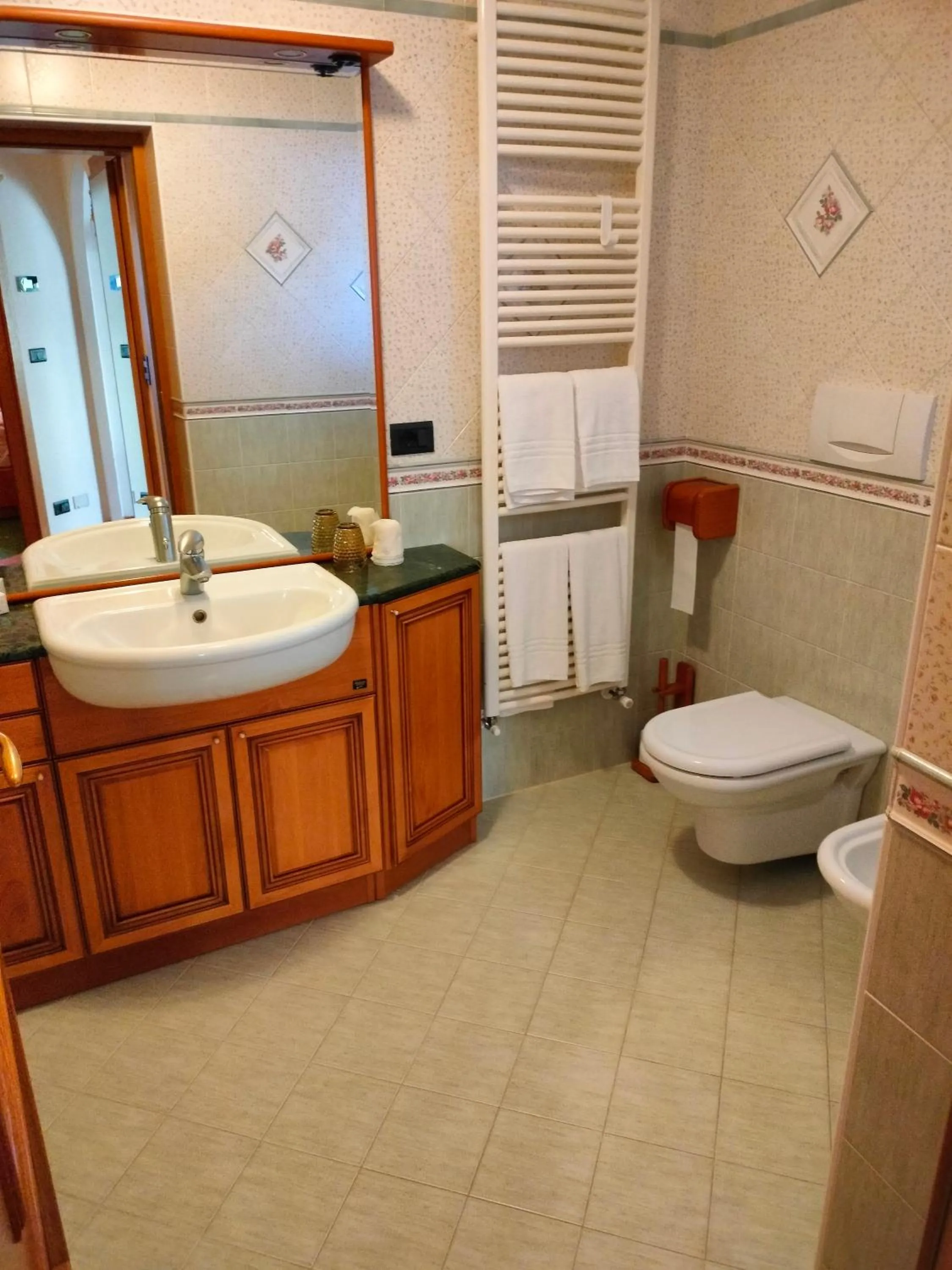 Toilet in Hotel Stella Alpina