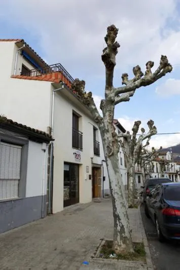 Apartamentos Hervasypunto