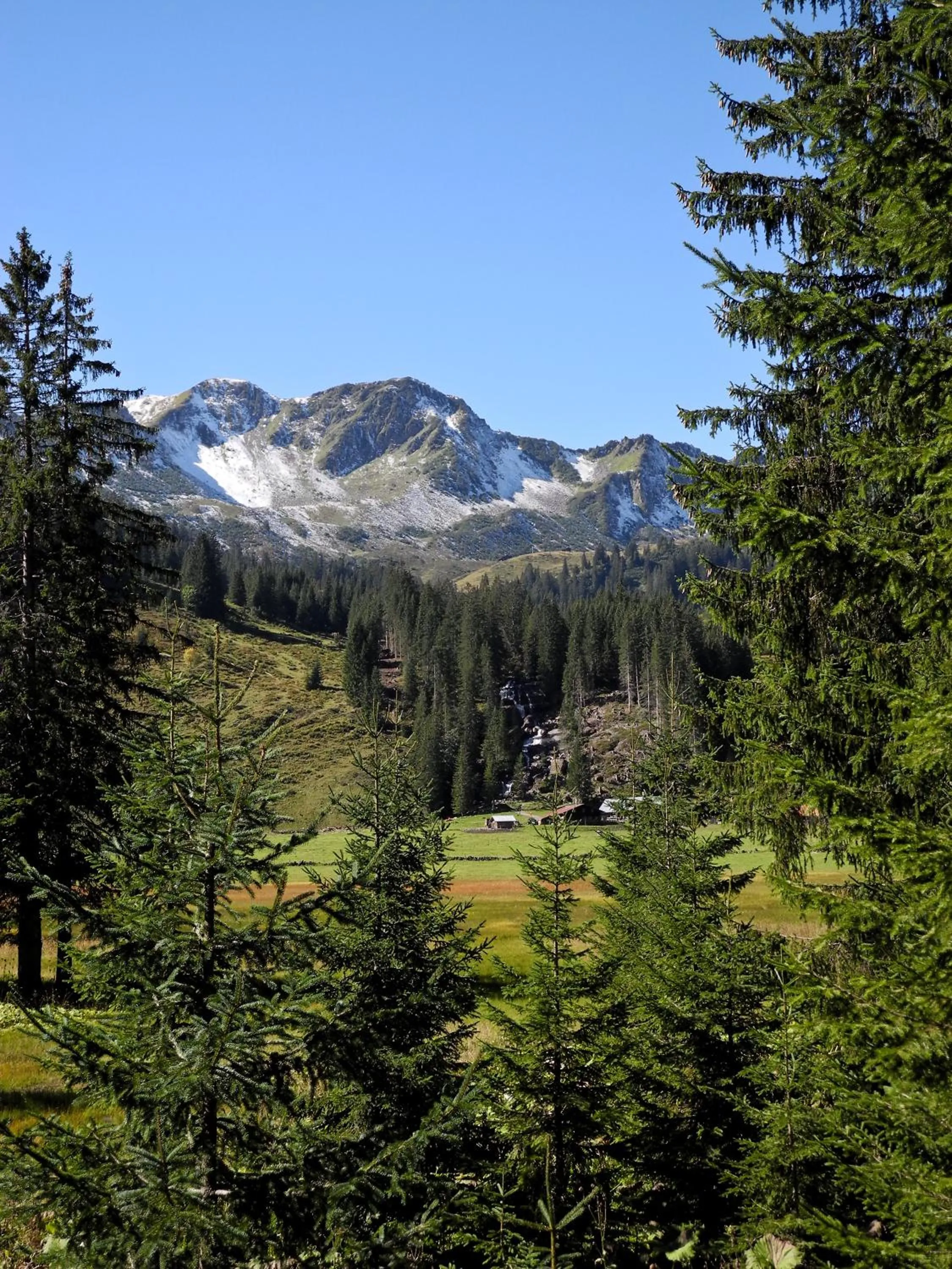 Area and facilities in Haller's Geniesserhotel