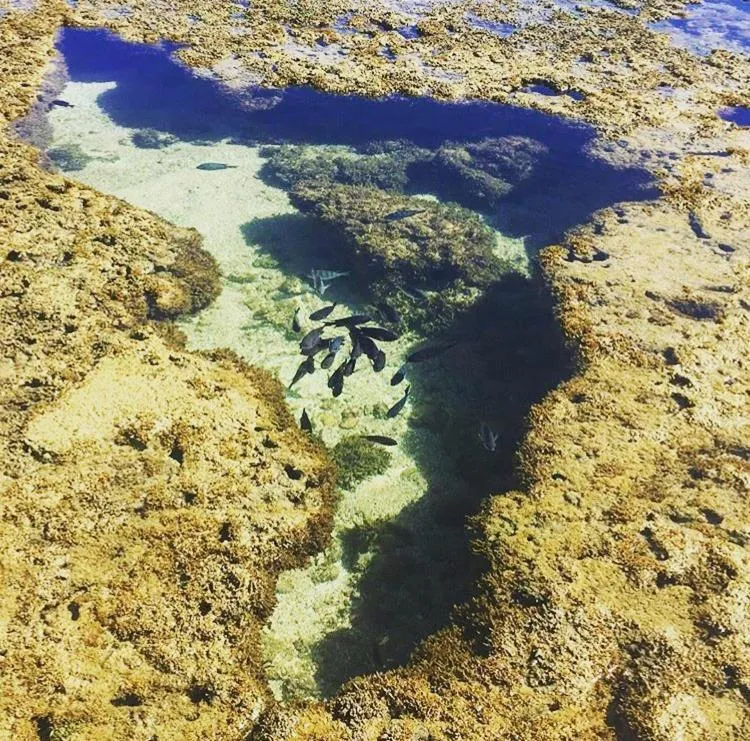 Pousada Maracabana Spa