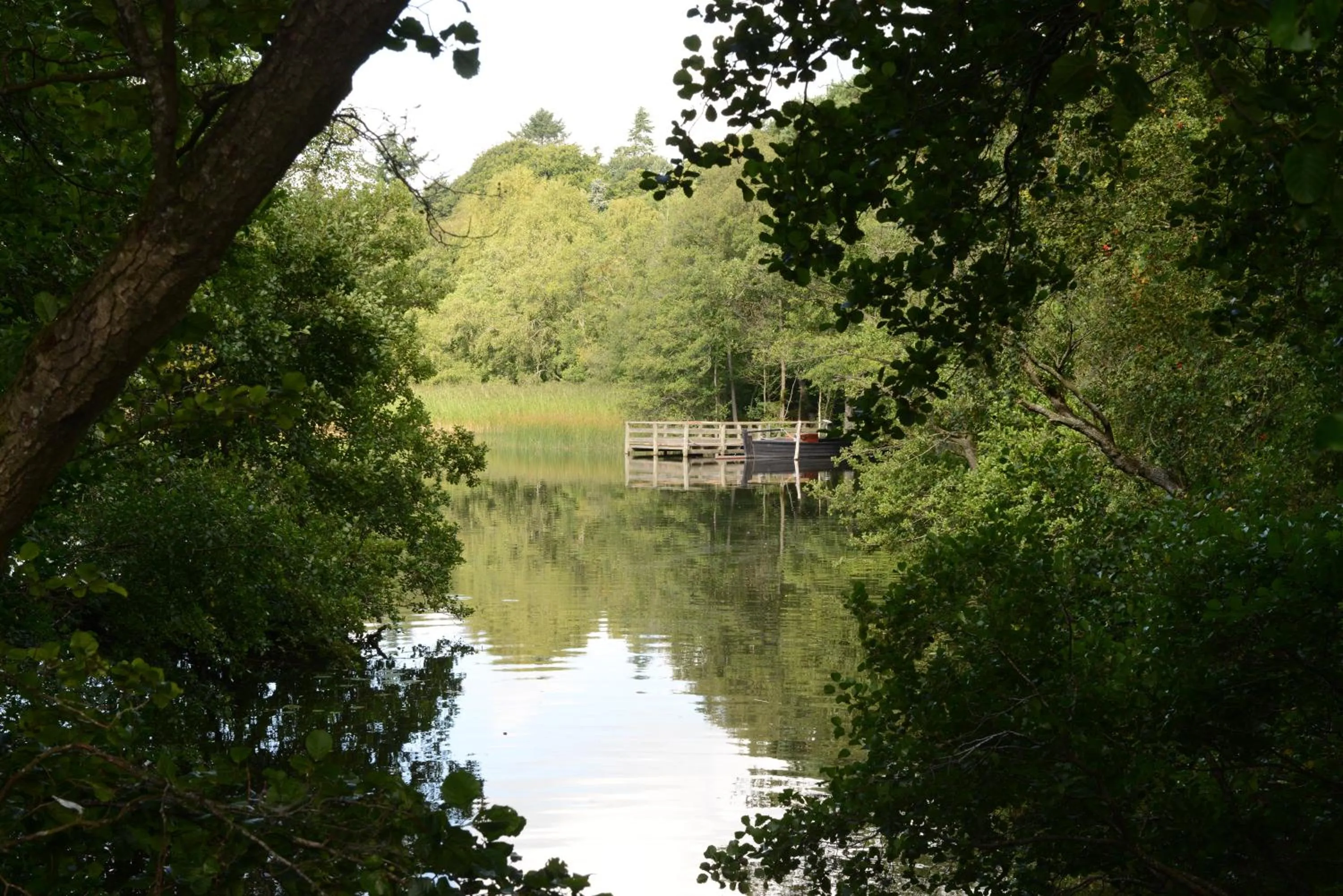 Hiking in Vejlsøhus Hotel and Conference Center