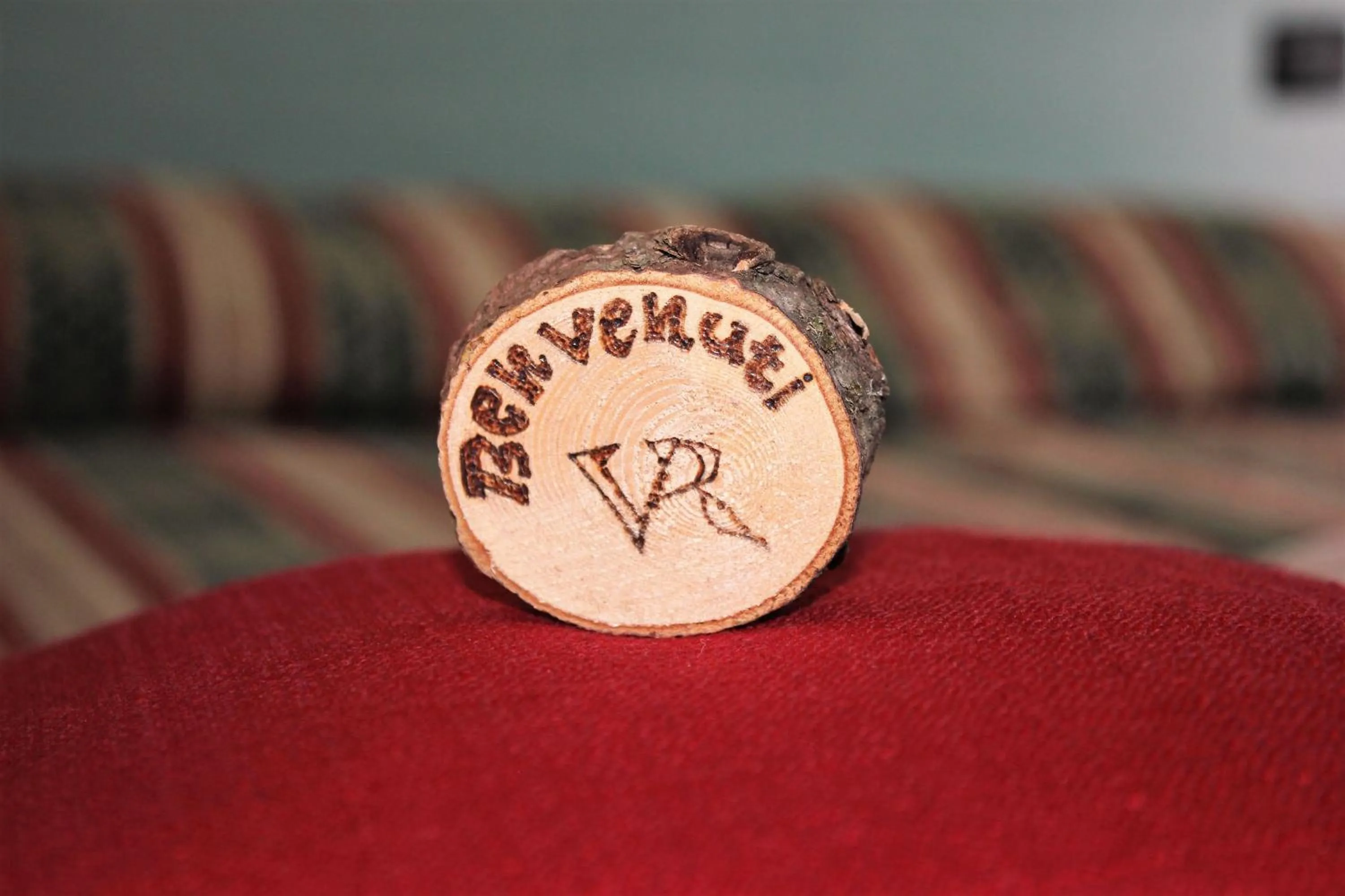 Property logo or sign in Hotel Villa Rina