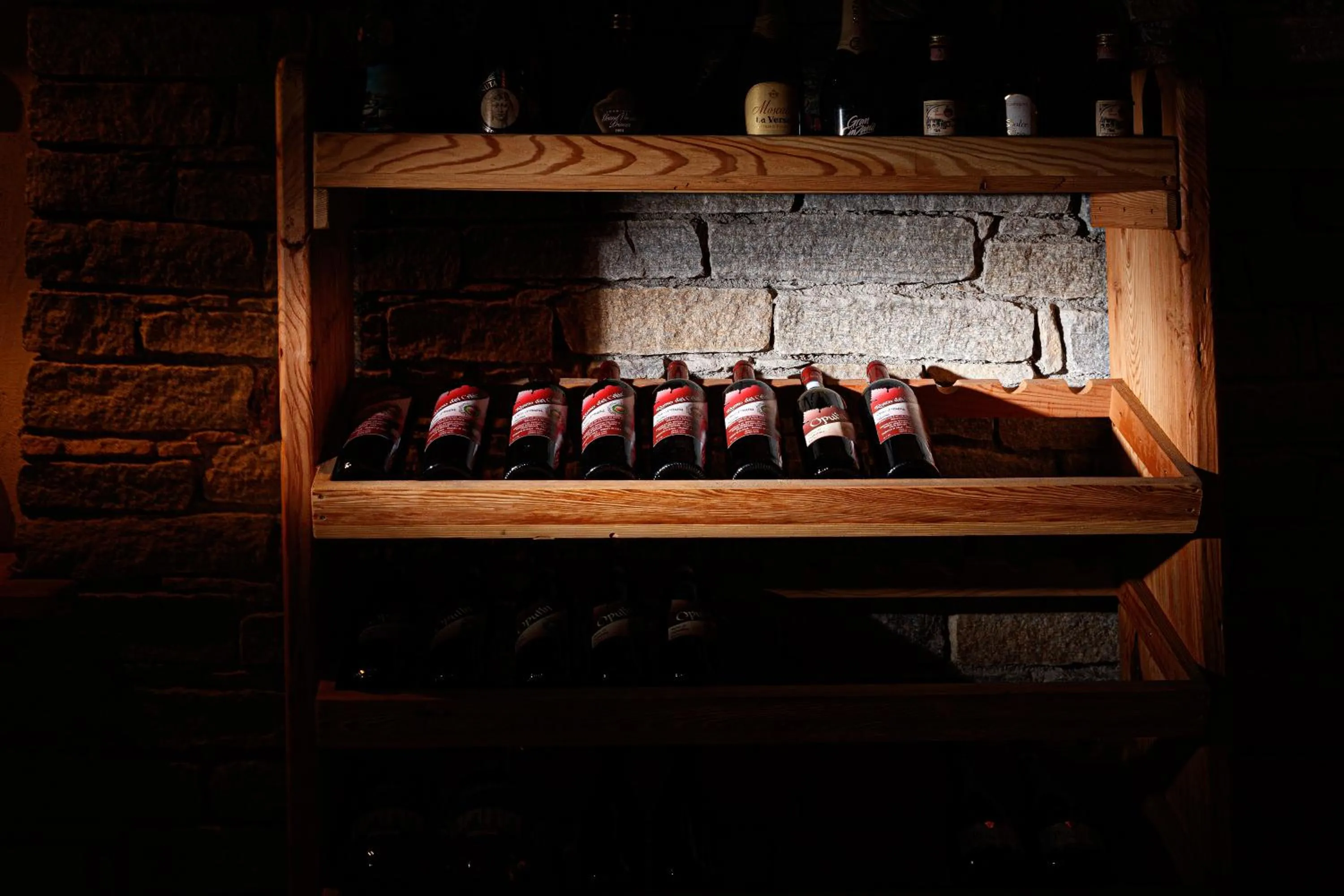 Activities in Hotel Villa Rina