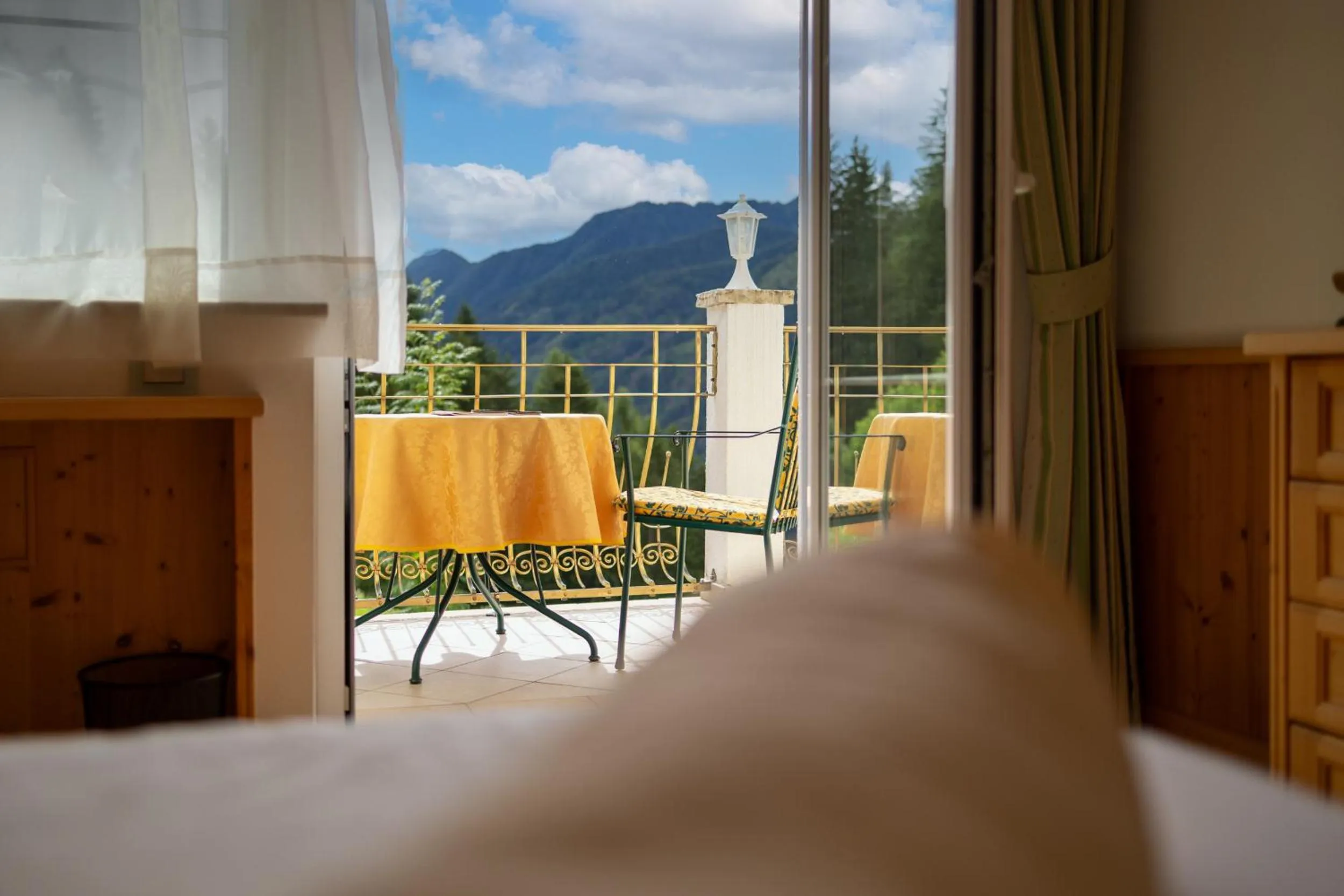 Balcony/Terrace in Das Land-Palais - Your lovely Mountain Hideaway