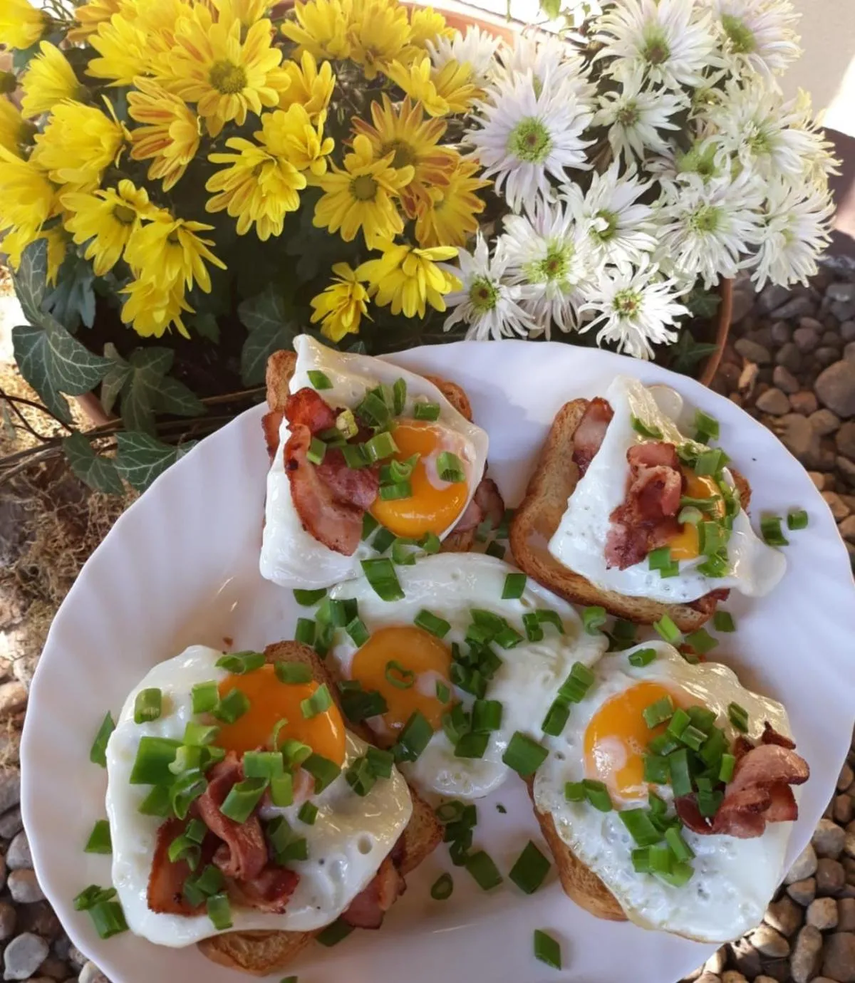 Food close-up in OW Mikomania