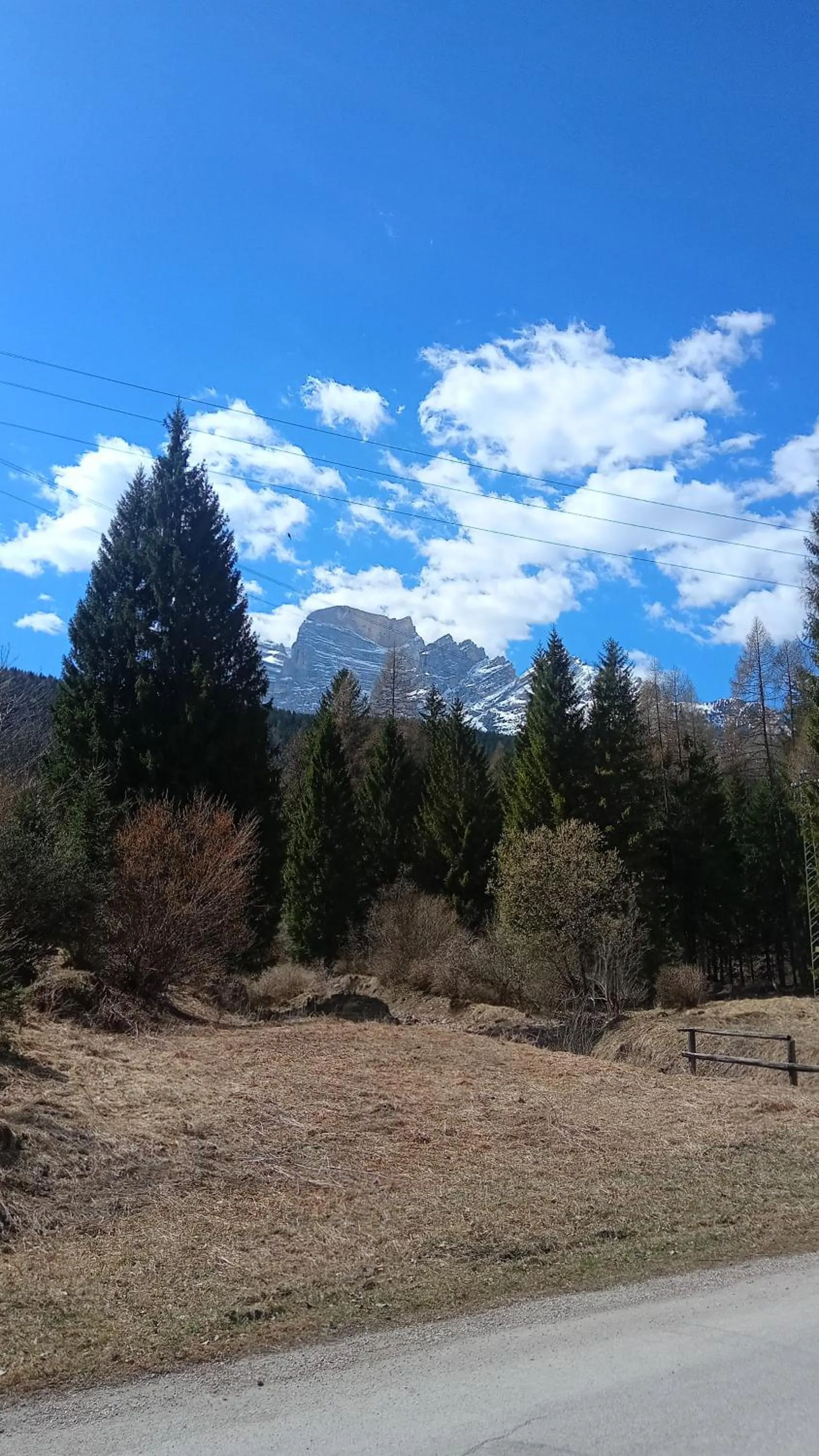 Natural landscape in Hotel Villa Ines