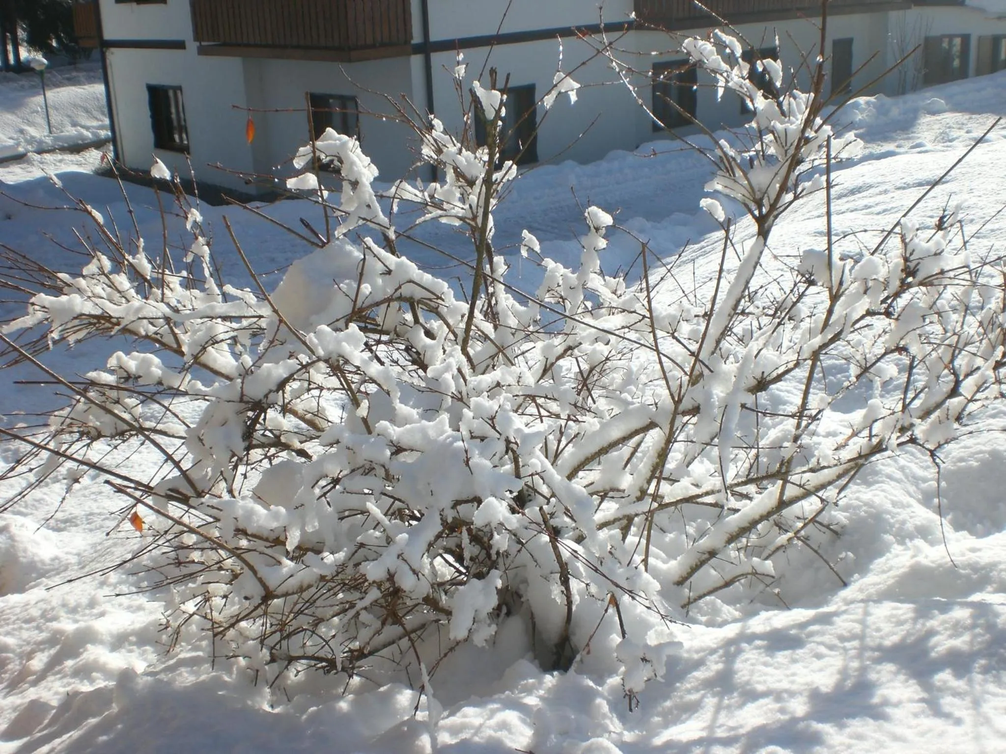 Hotel Villa Ines