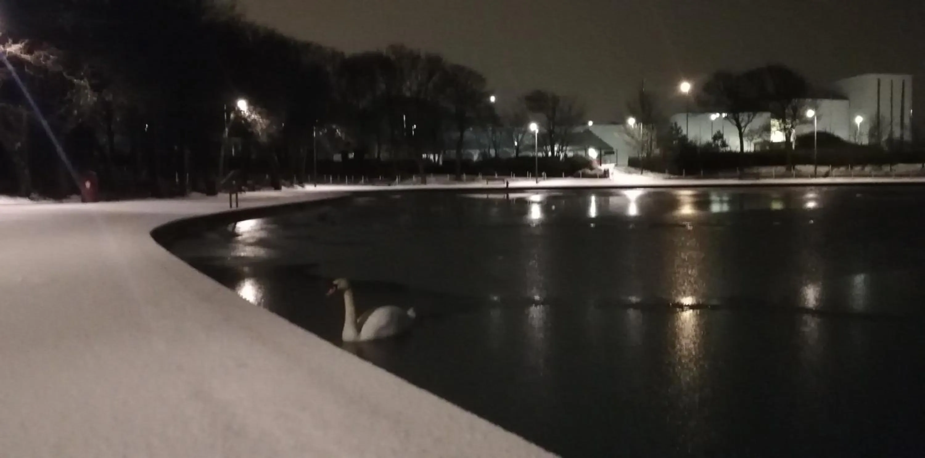 Elmswood Guest House