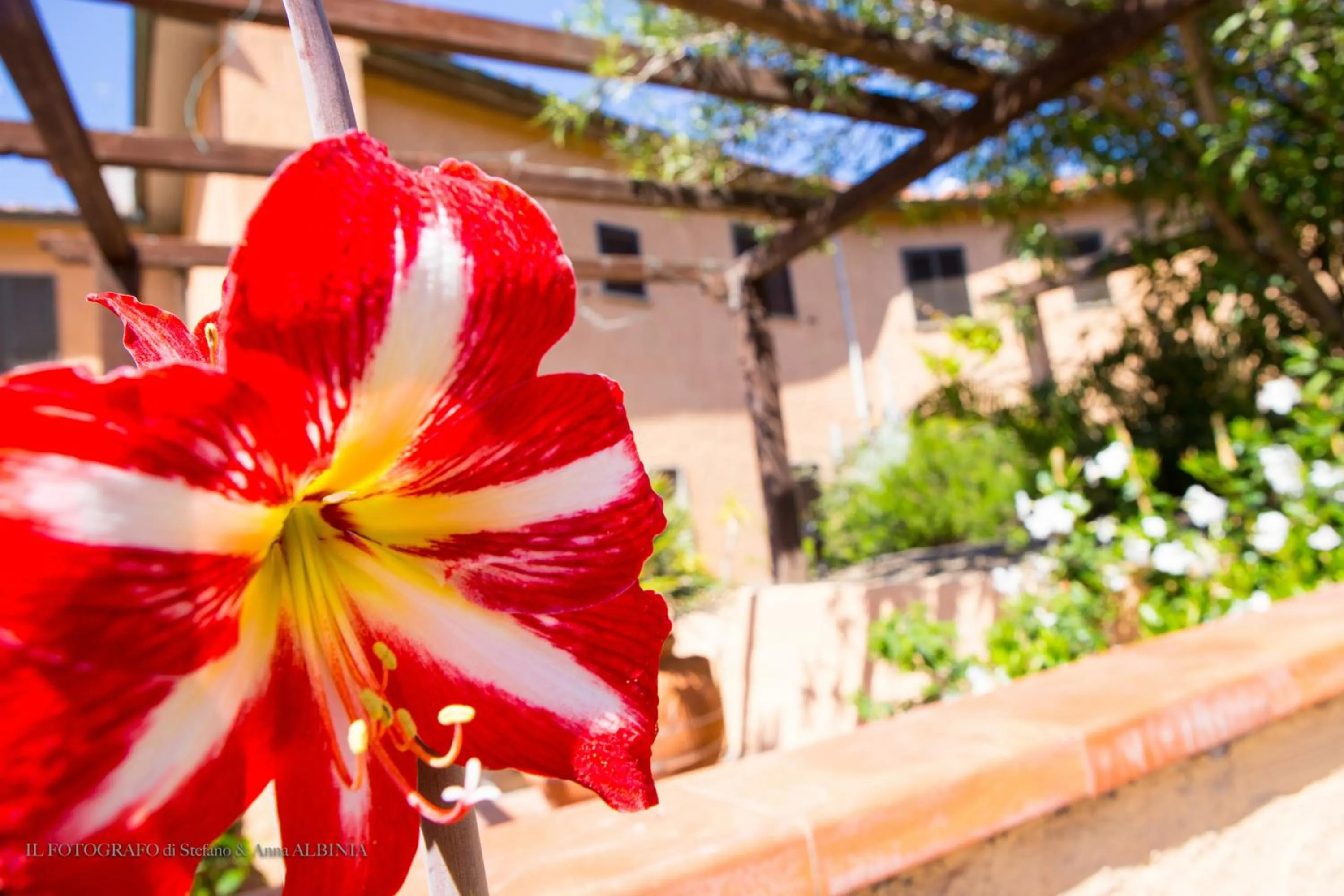 Garden in Hotel Saraceno
