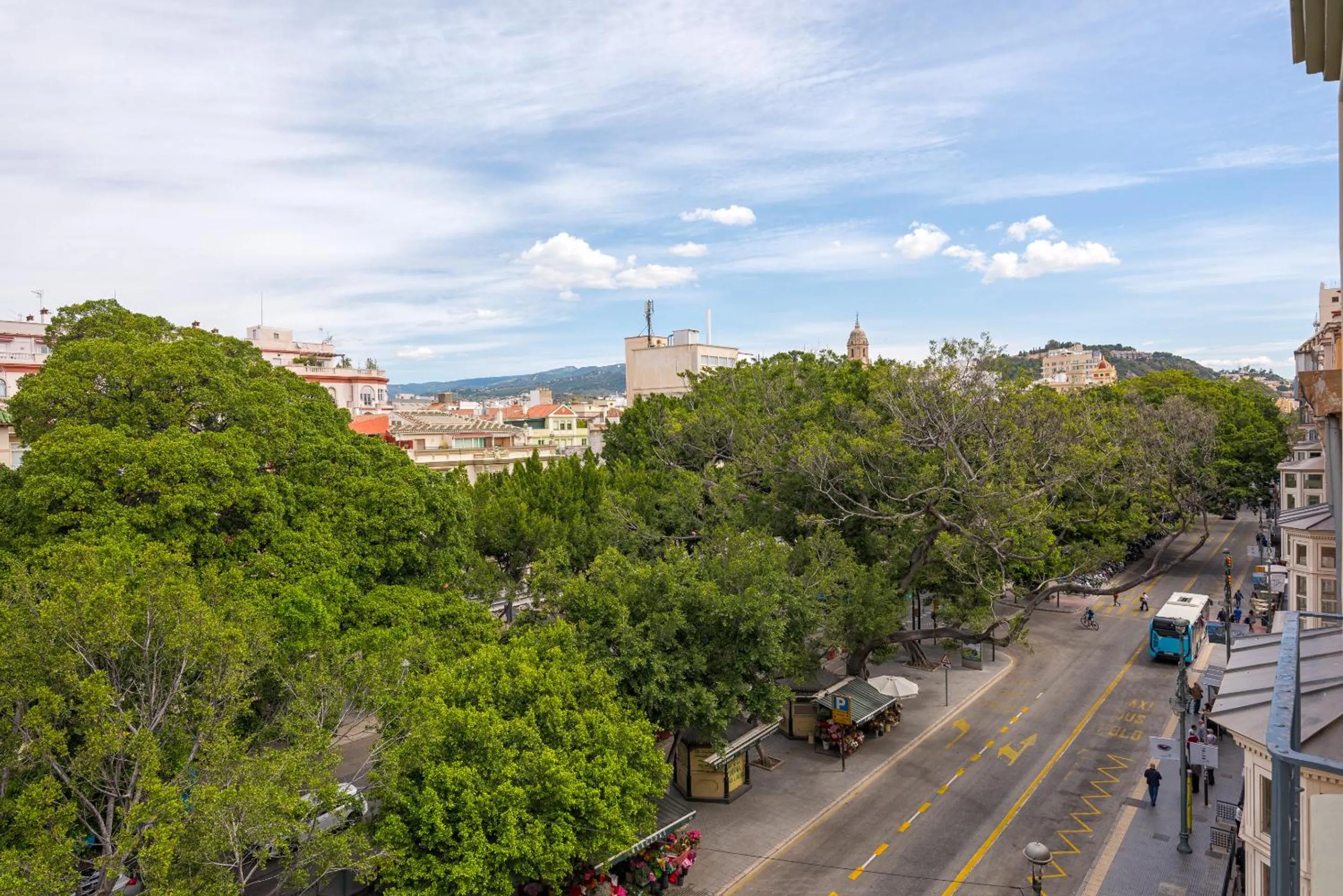 City view in iloftmalaga Premium Alameda Principal
