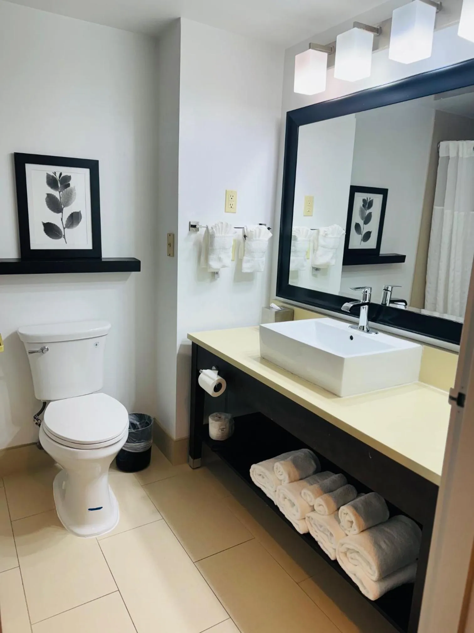 Toilet in Country Inn & Suites by Radisson, Lawrenceville near Northside