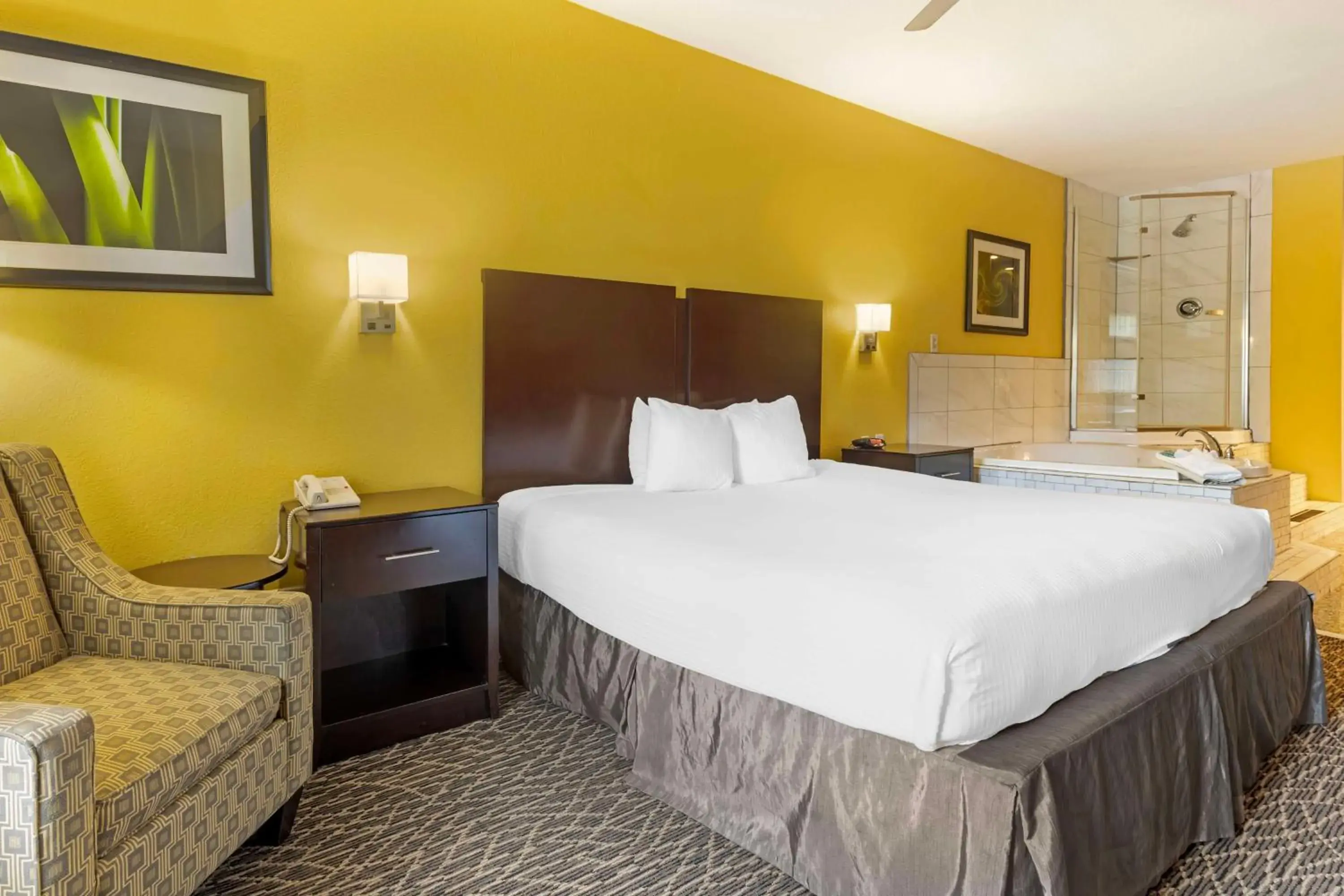 Photo of the whole room, Bed in Best Western West Monroe Inn Photo of the whole room, Bed in Best Western West Monroe Inn