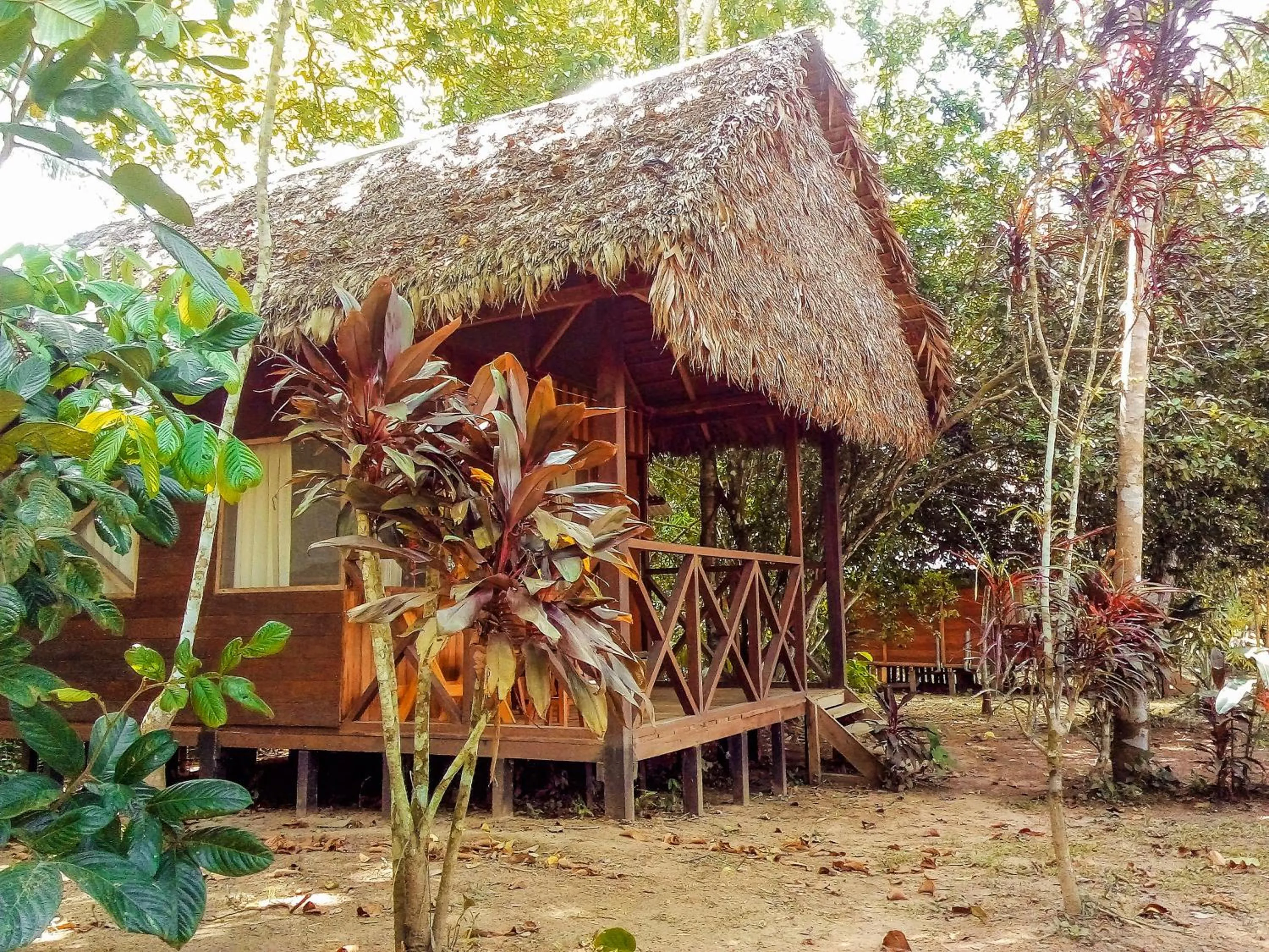 Photo of the whole room in Tambopata River