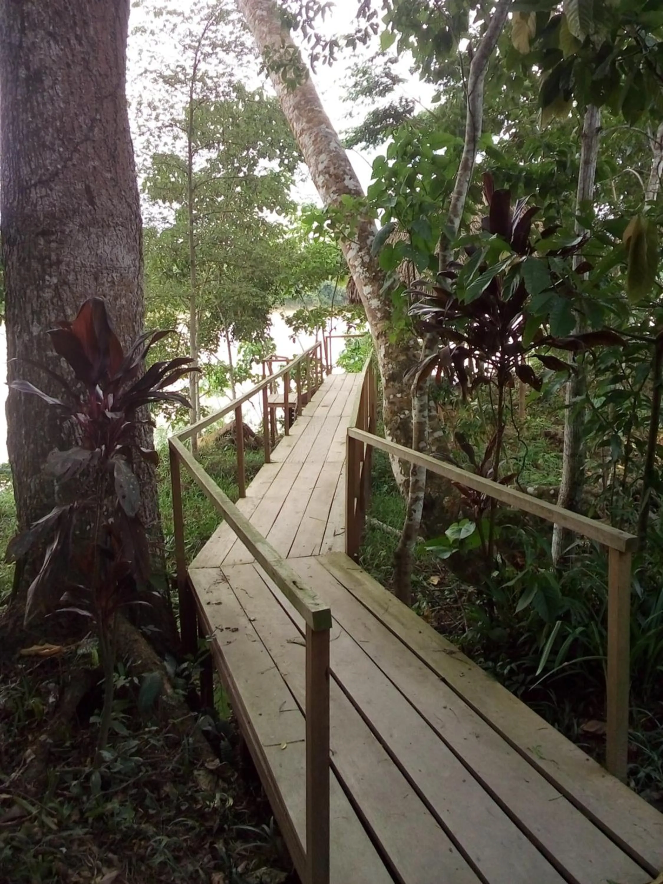 River view in Tambopata River