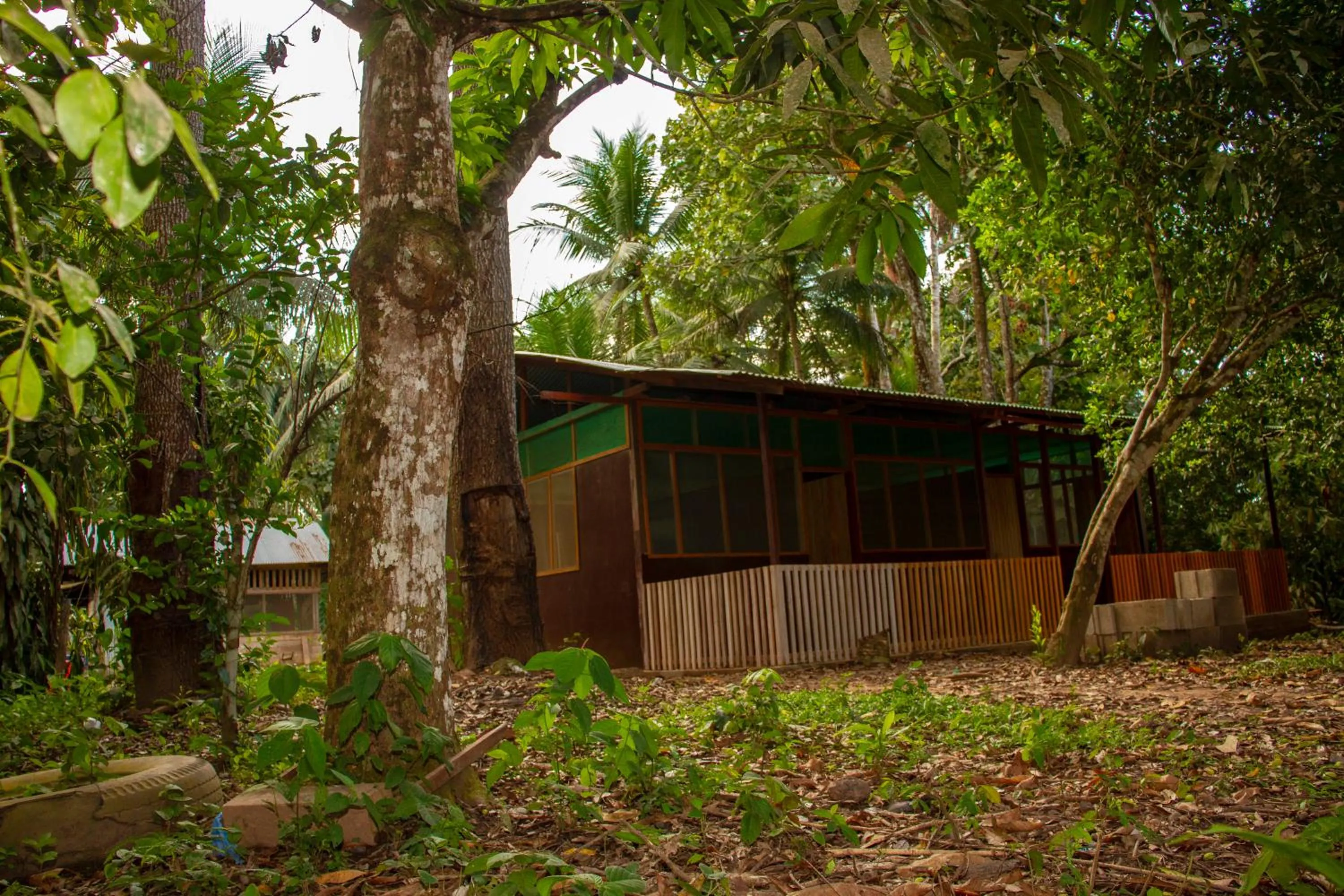 Tambopata River