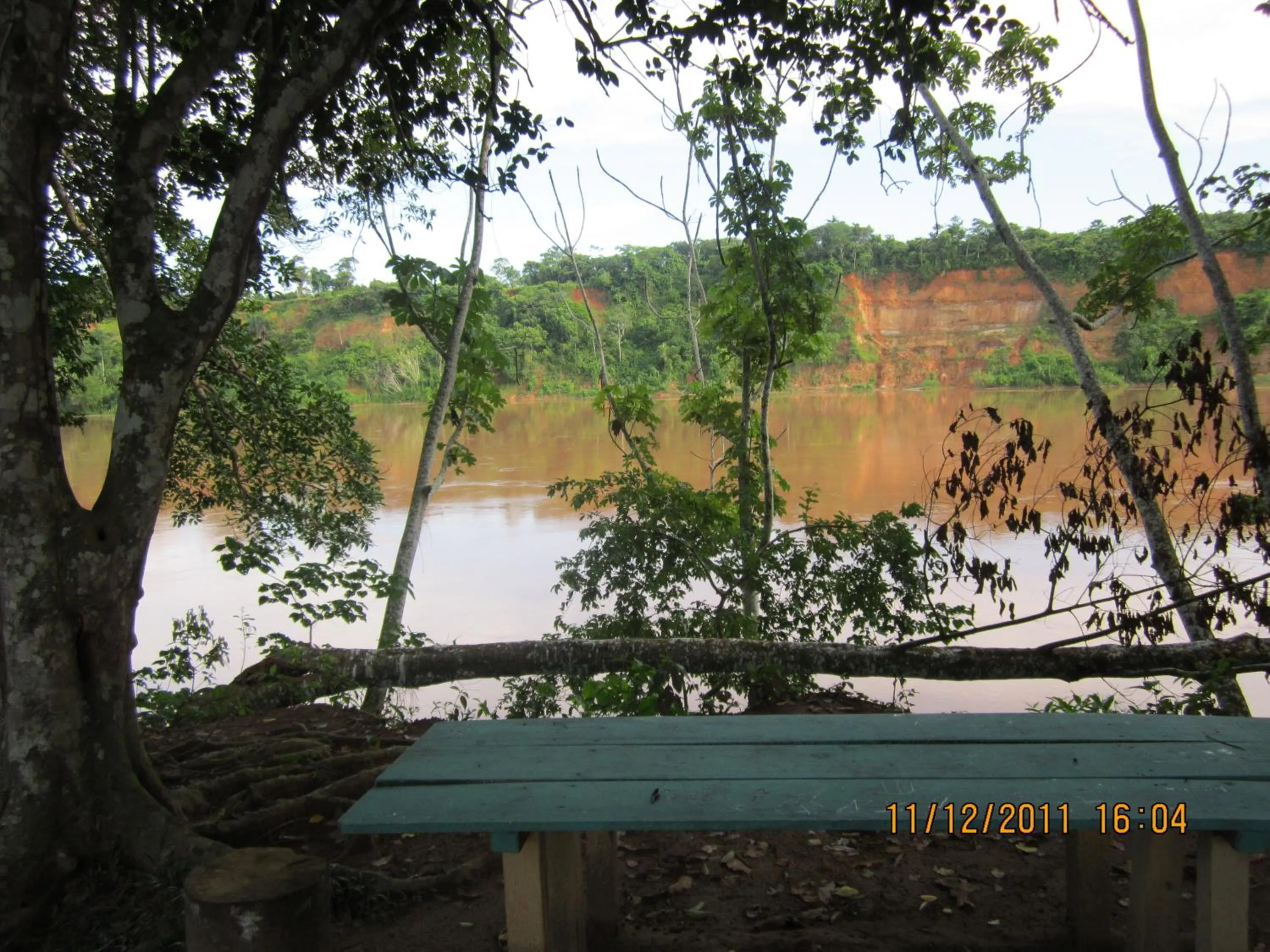 View (from property/room) in Tambopata River