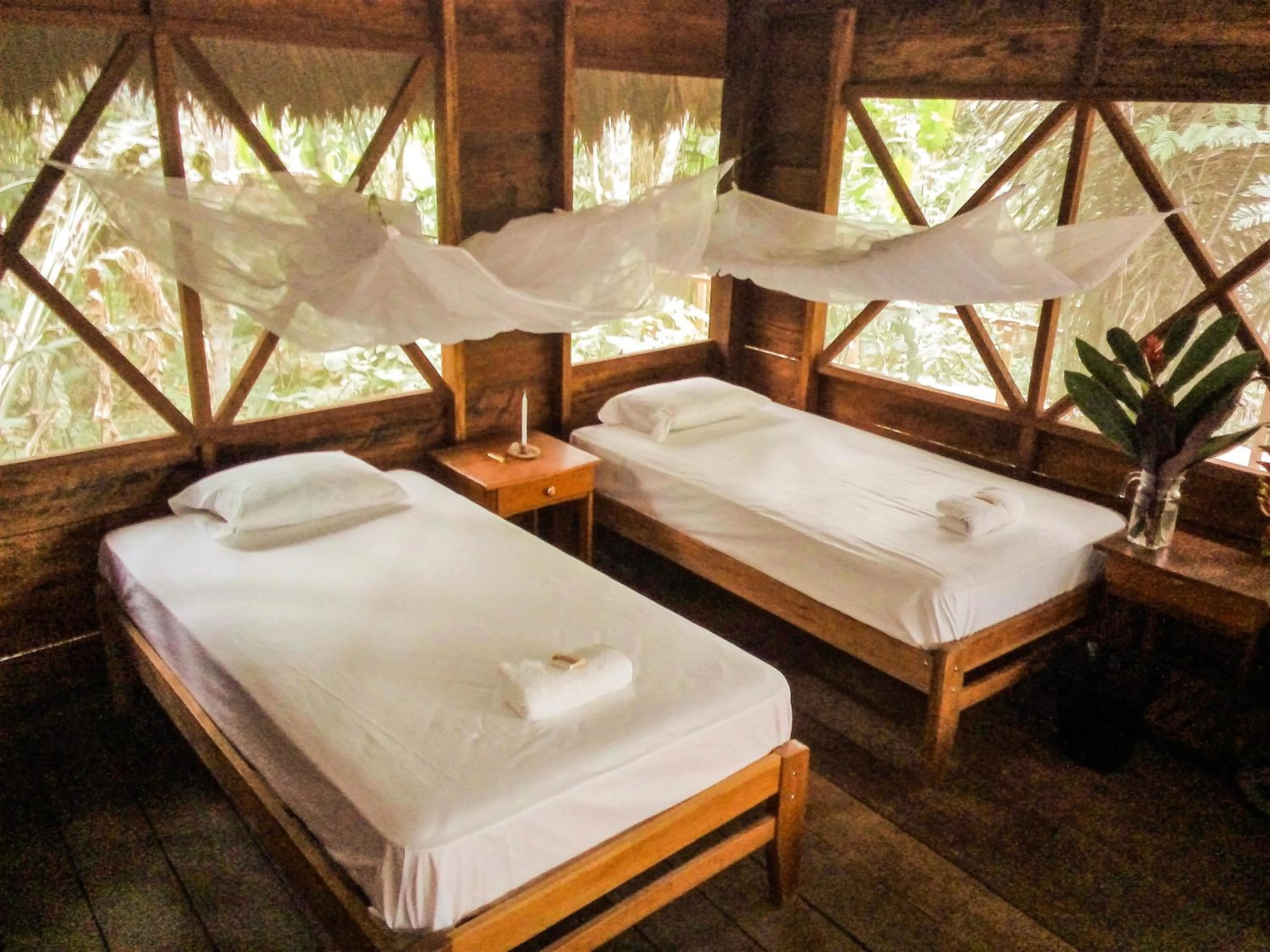 Decorative detail, Bed in Tambopata River