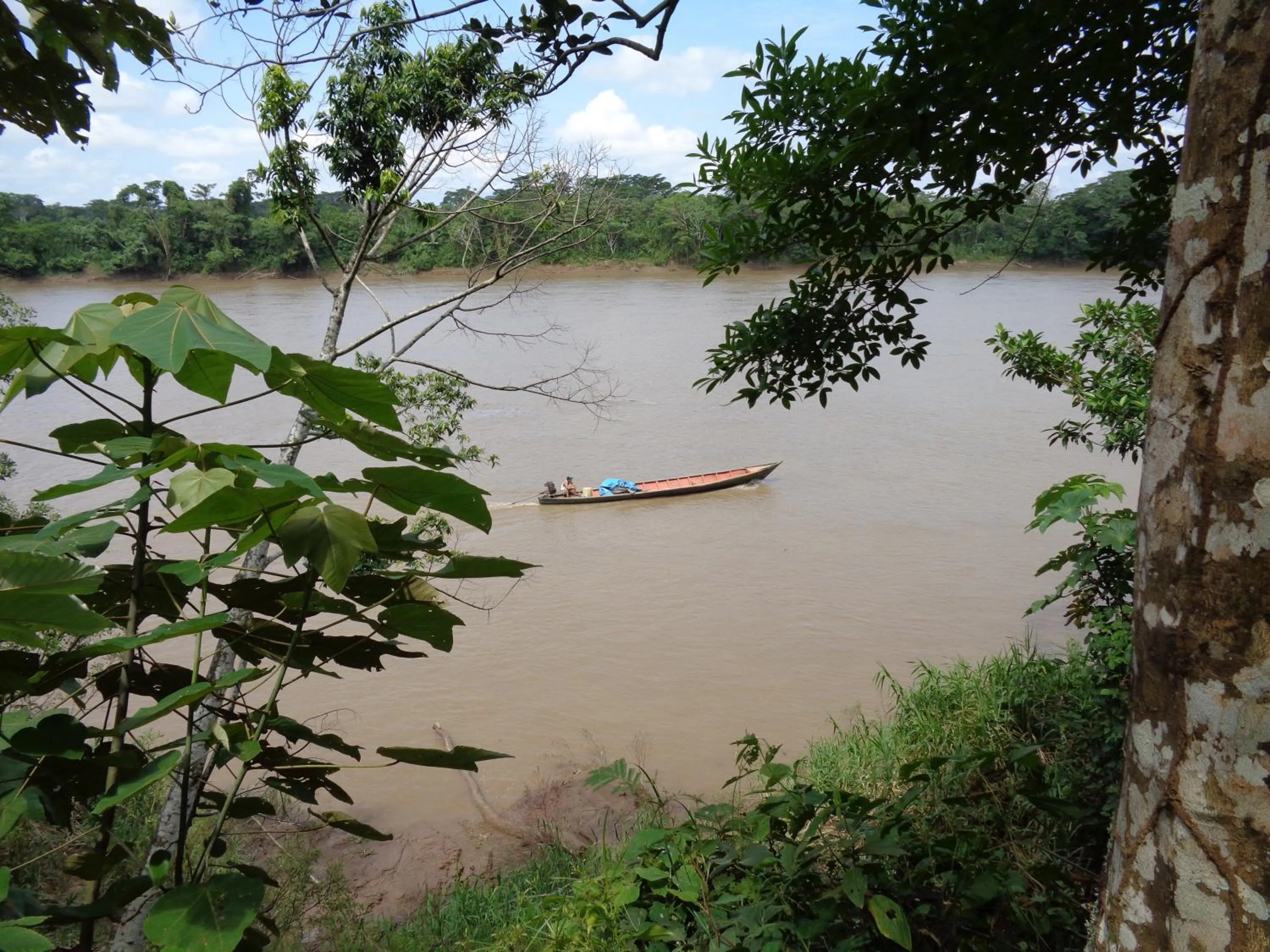 View (from property/room) in Tambopata River