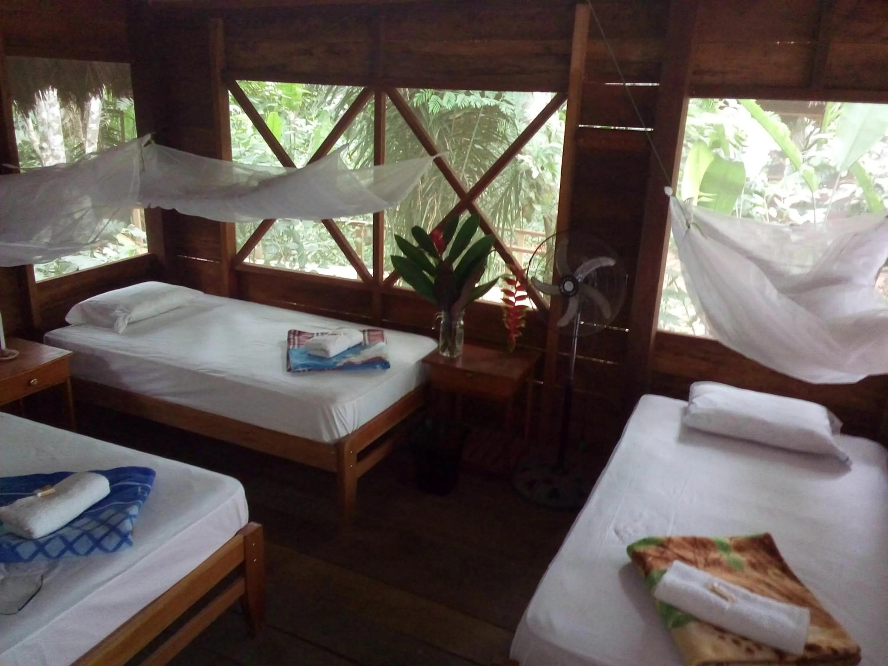 Bed in Tambopata River
