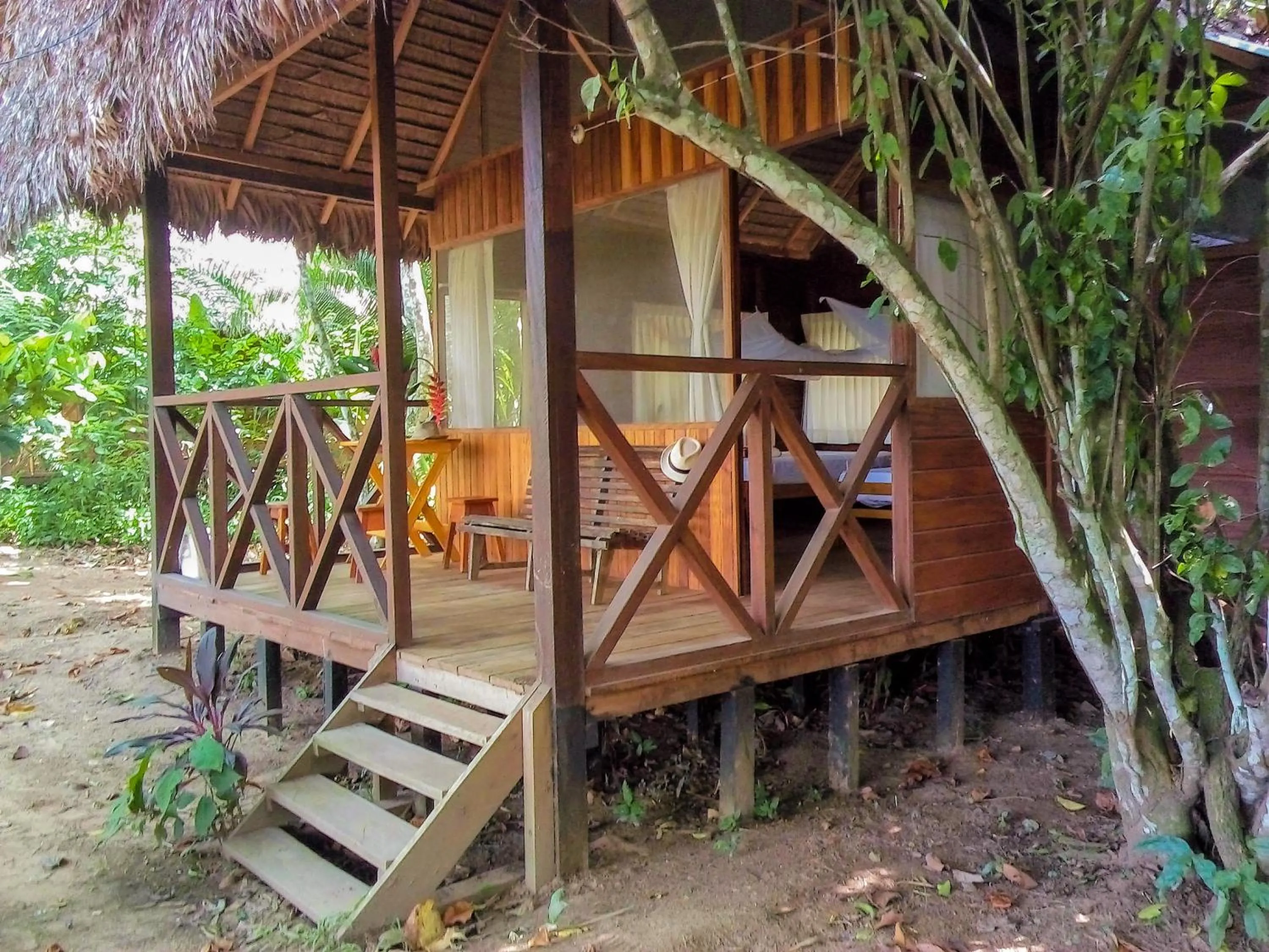 Balcony/Terrace in Tambopata River