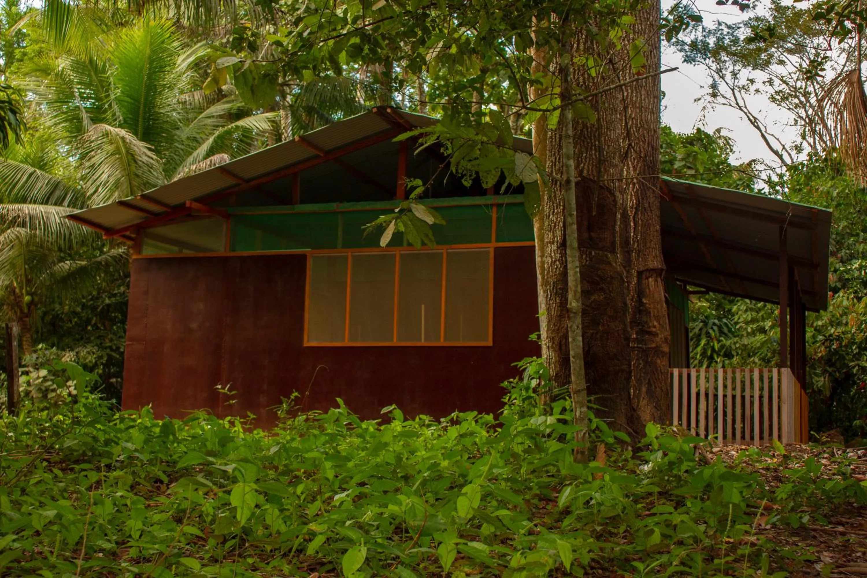 Tambopata River