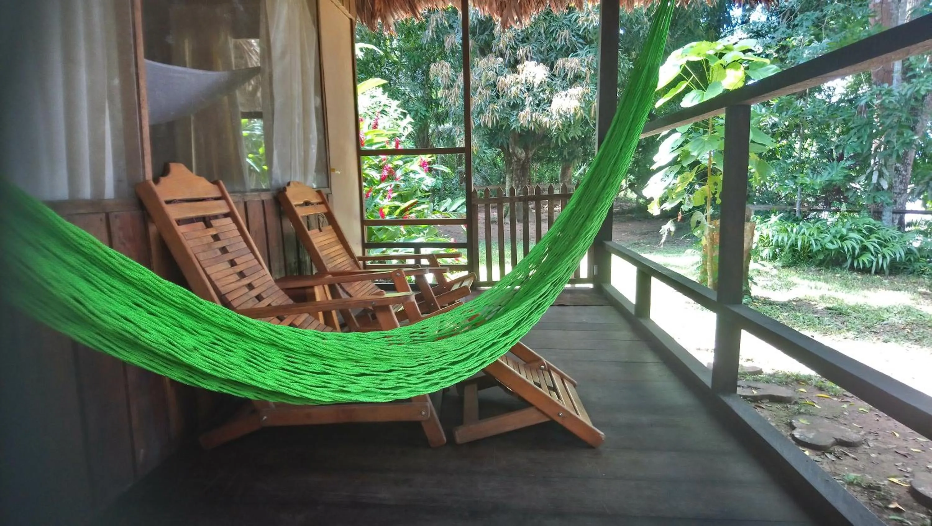 Balcony/Terrace in Tambopata River