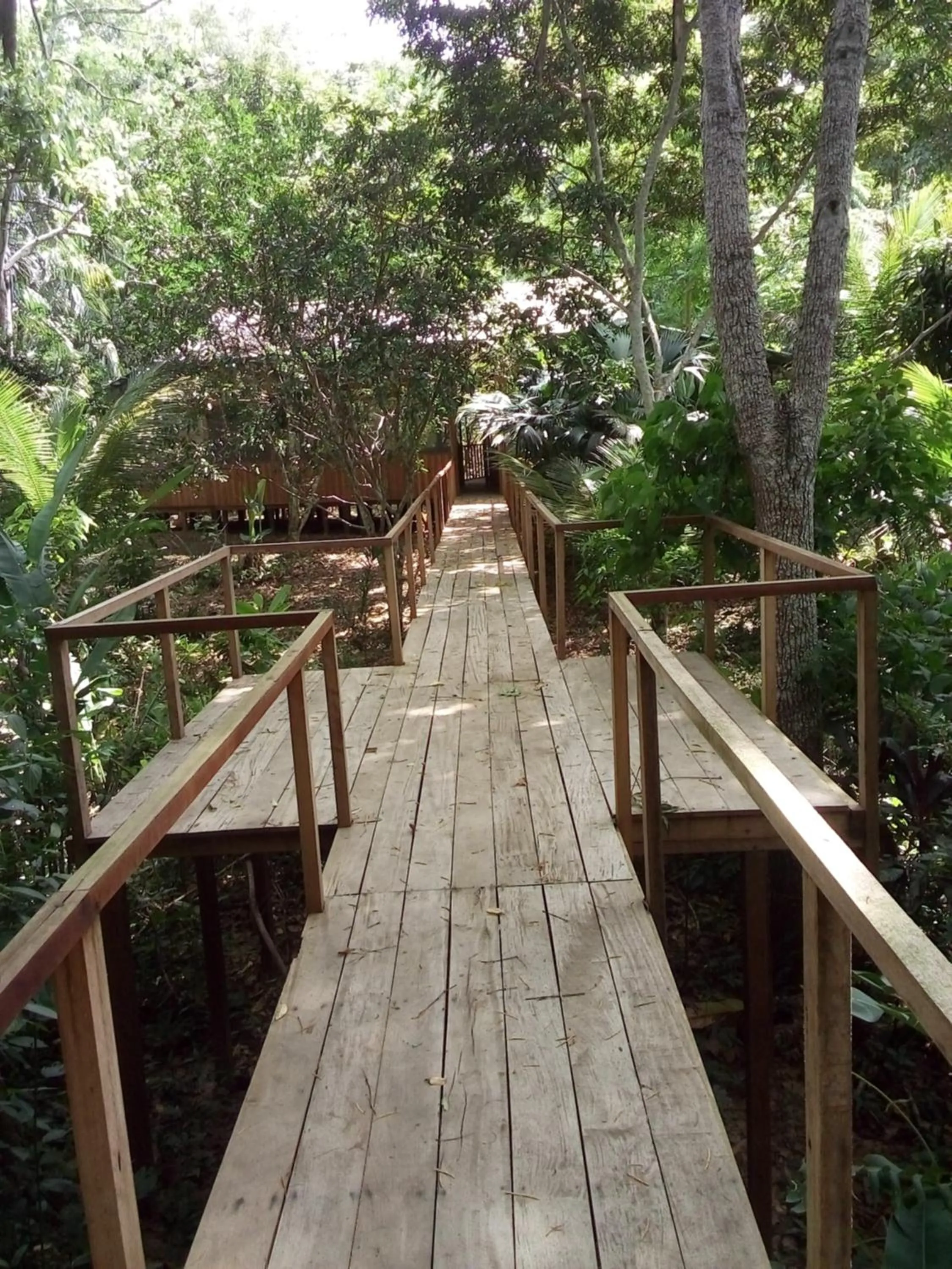 Tambopata River