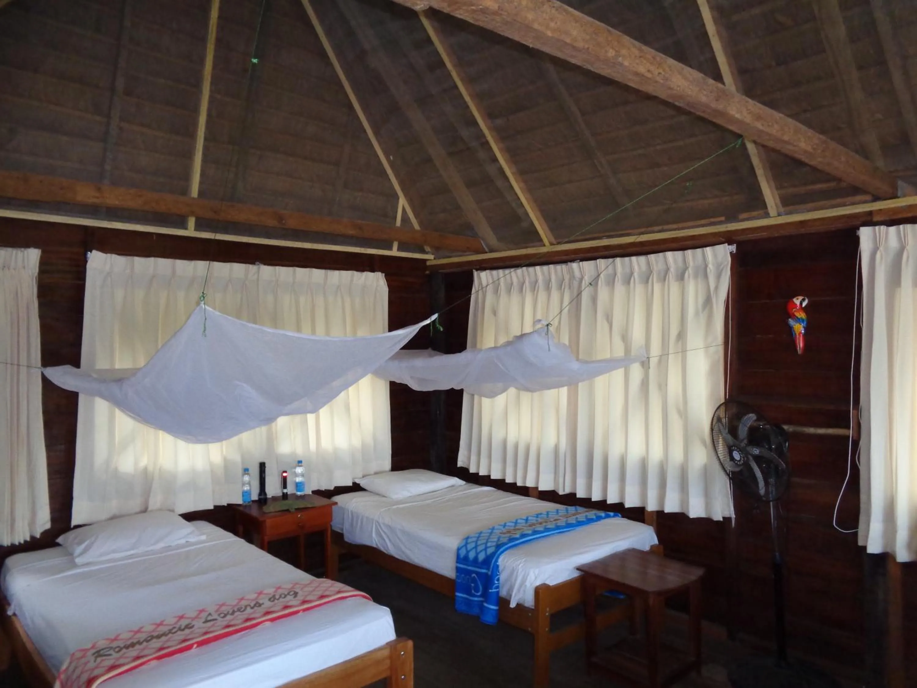 bunk bed, Bed in Tambopata River