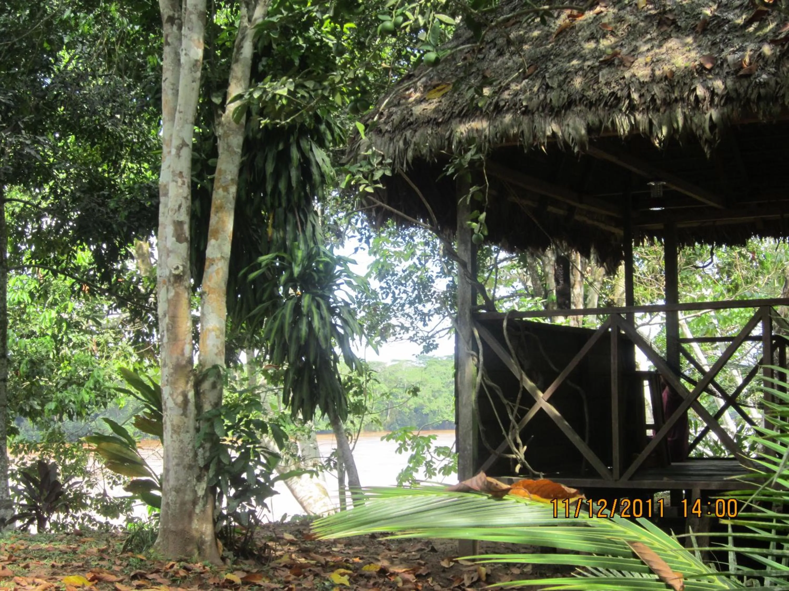 View (from property/room) in Tambopata River
