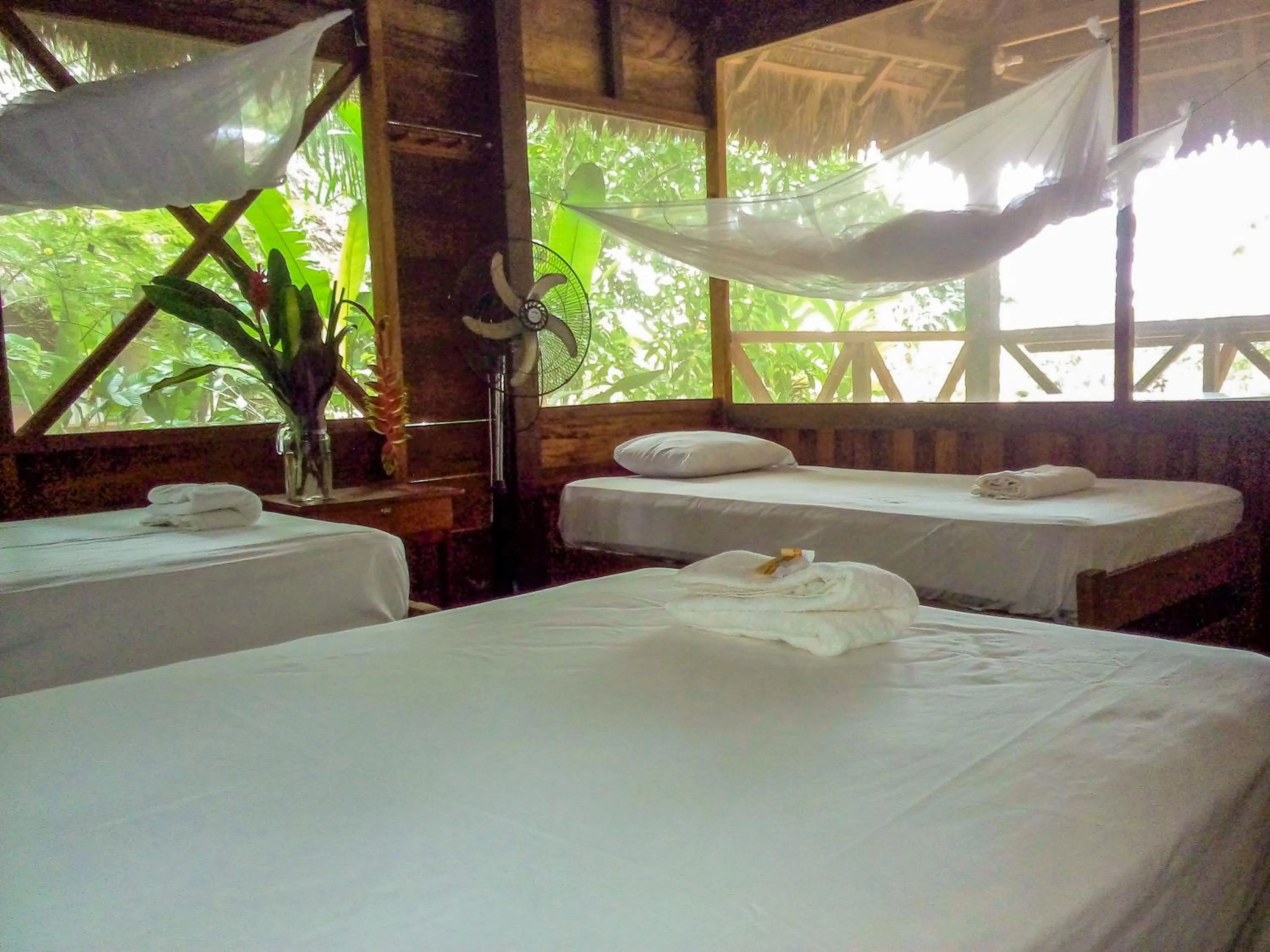 Bedroom, Bed in Tambopata River