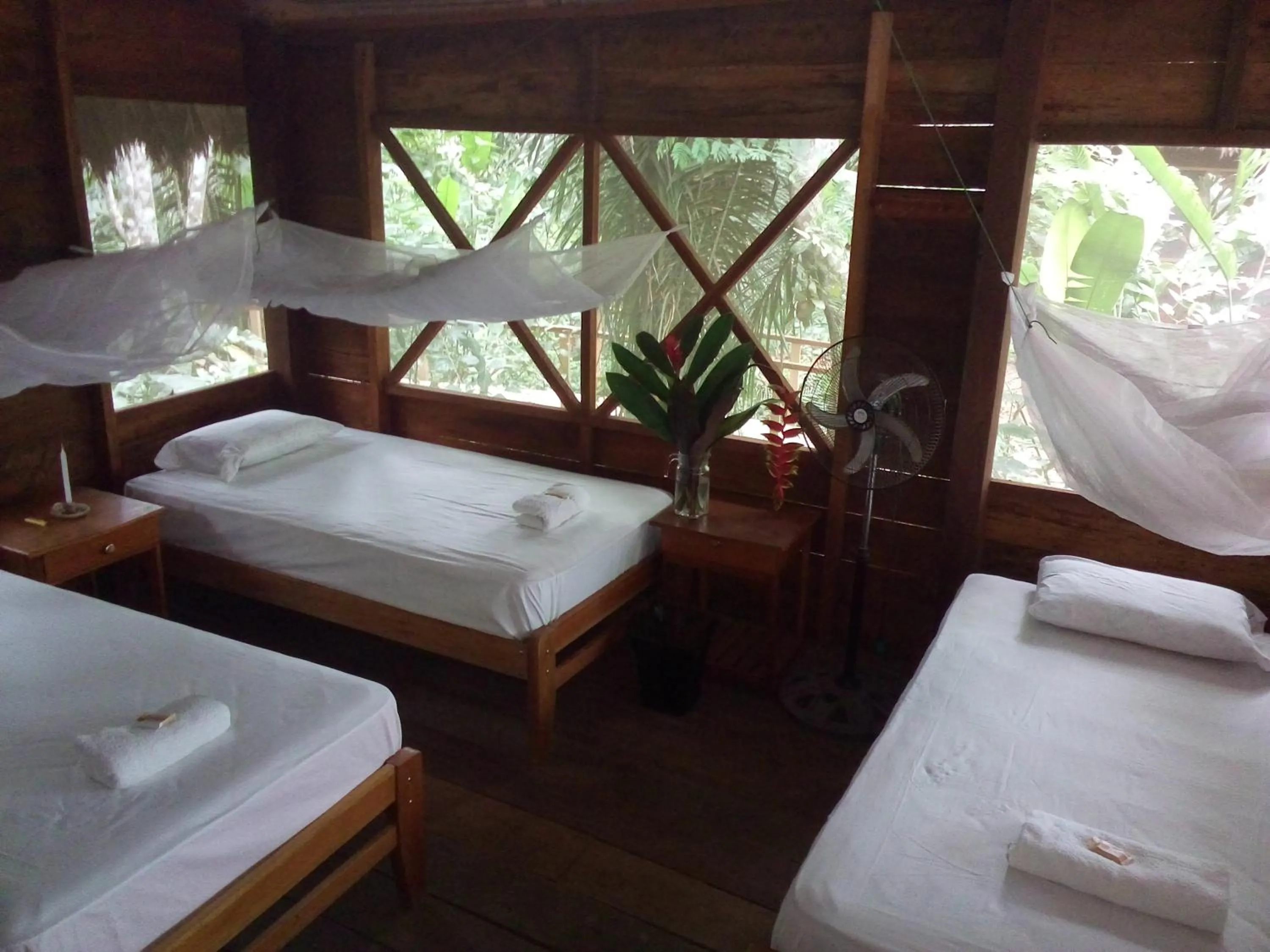 Bed in Tambopata River