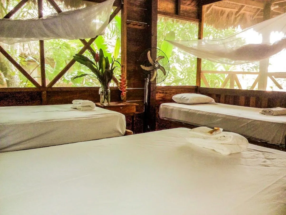 Bed in Tambopata River