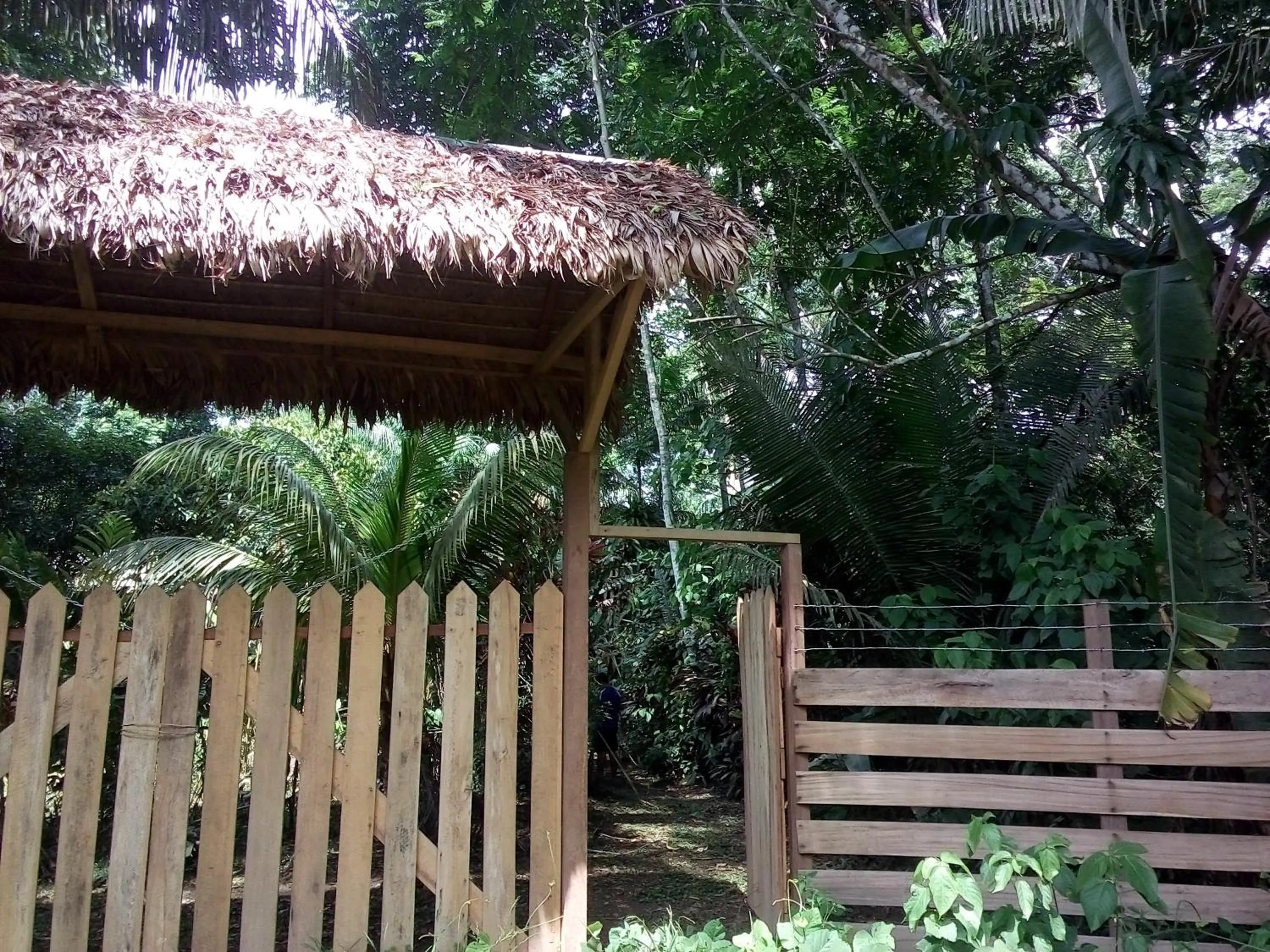 Tambopata River