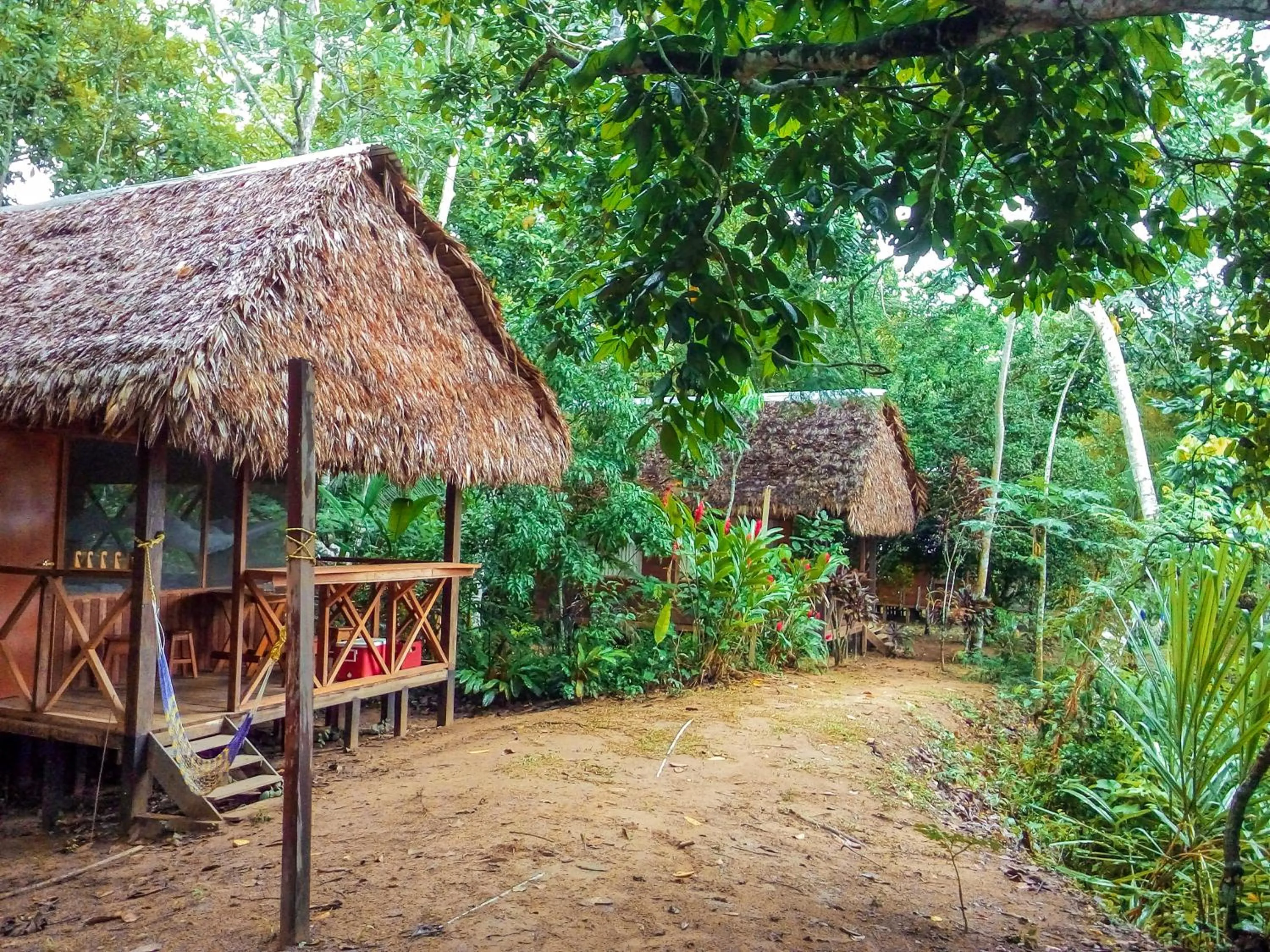Property building in Tambopata River