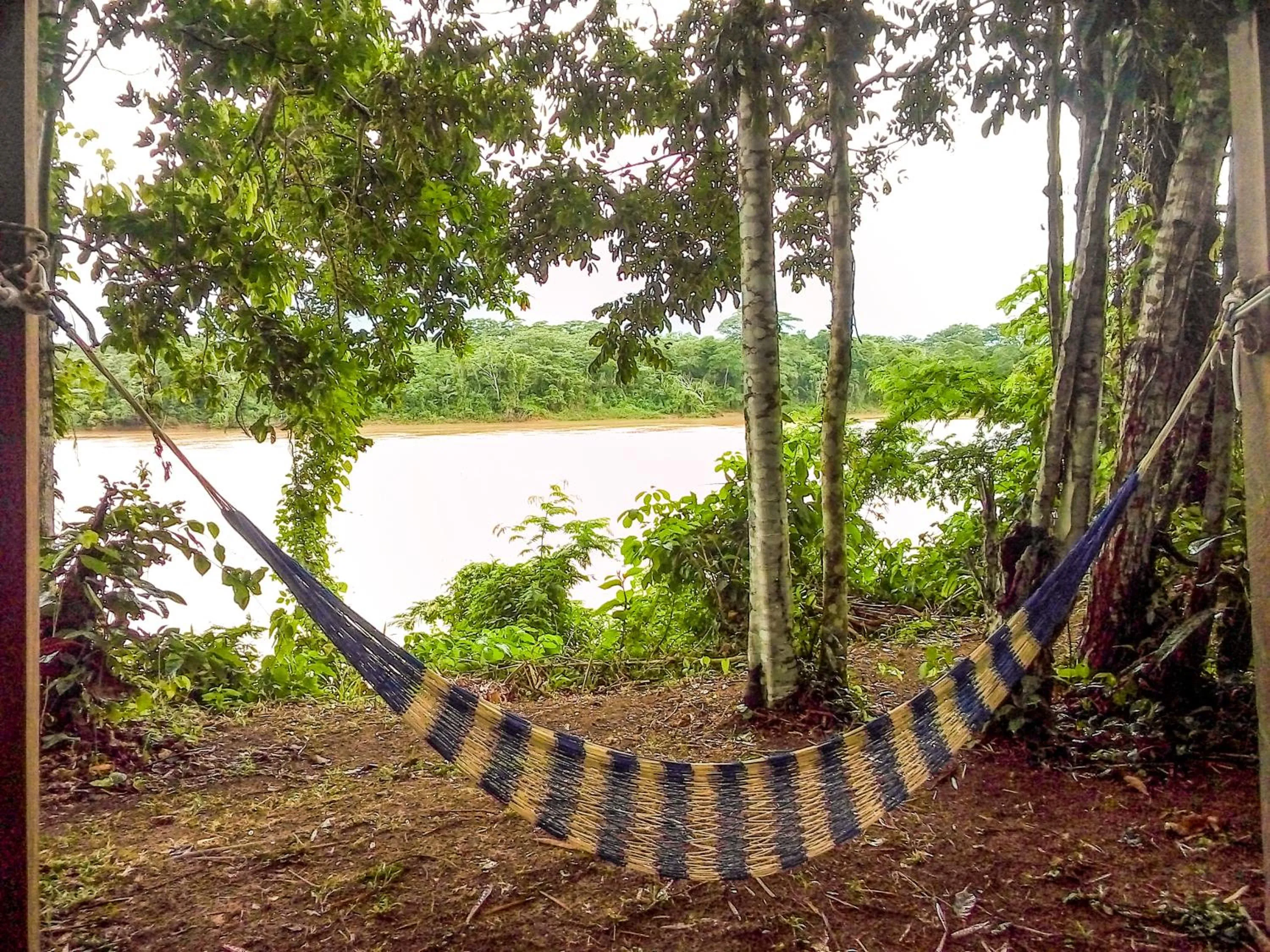Natural landscape in Tambopata River