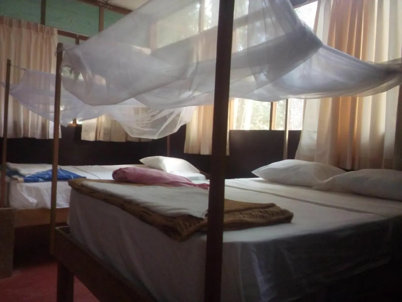 Bed in Tambopata River