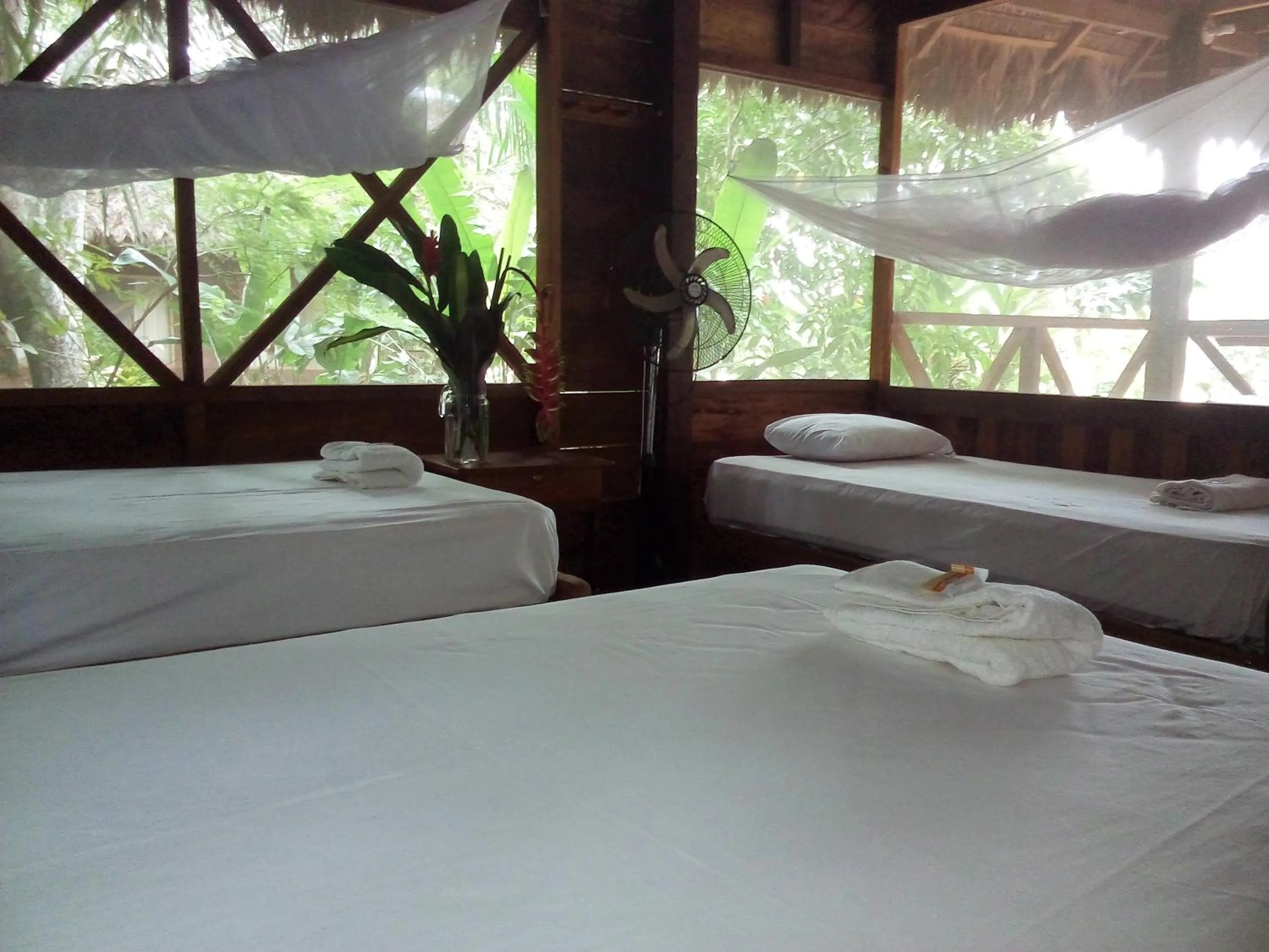 Bed in Tambopata River
