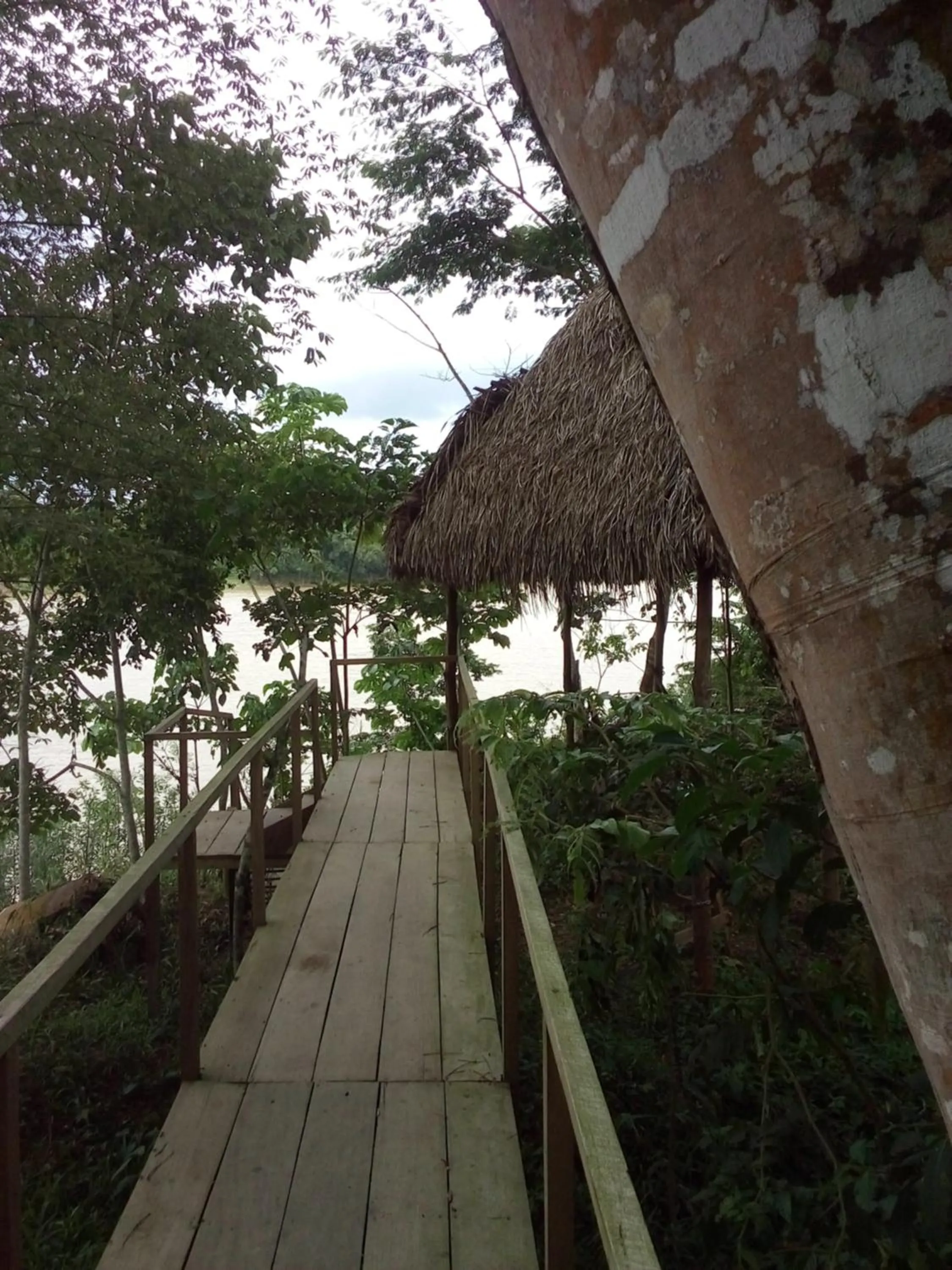 Area and facilities in Tambopata River