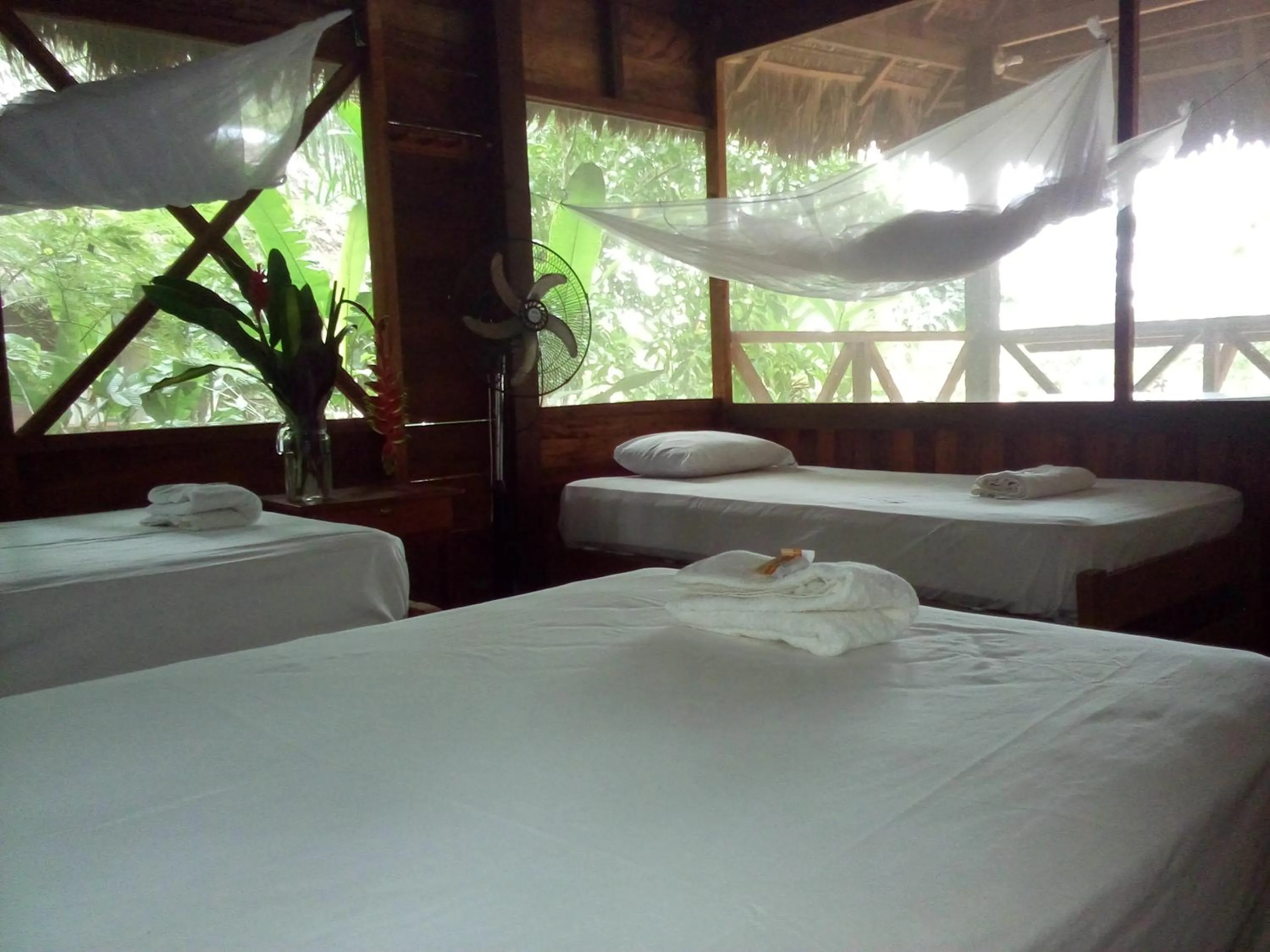 Bed in Tambopata River