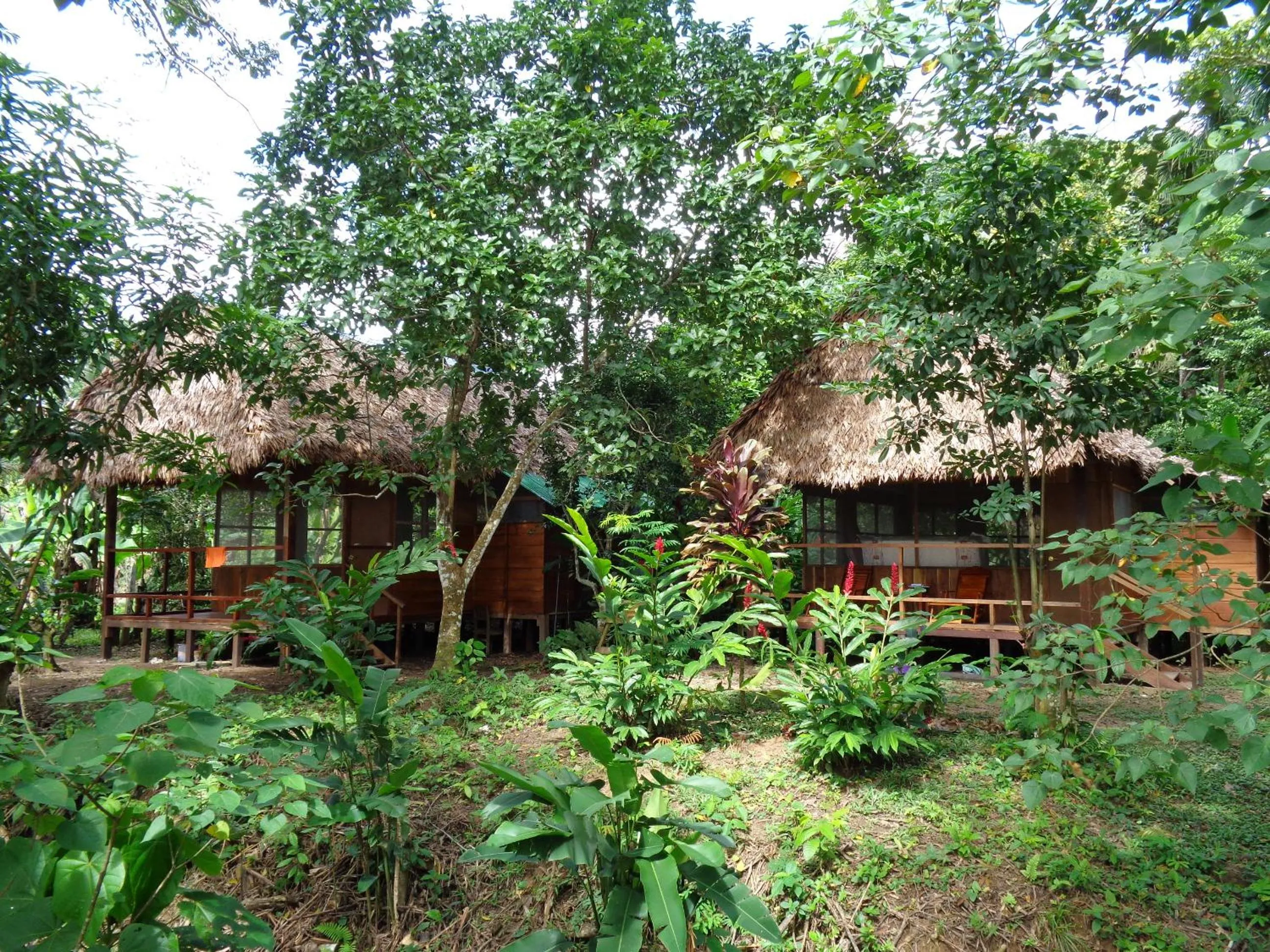 Tambopata River