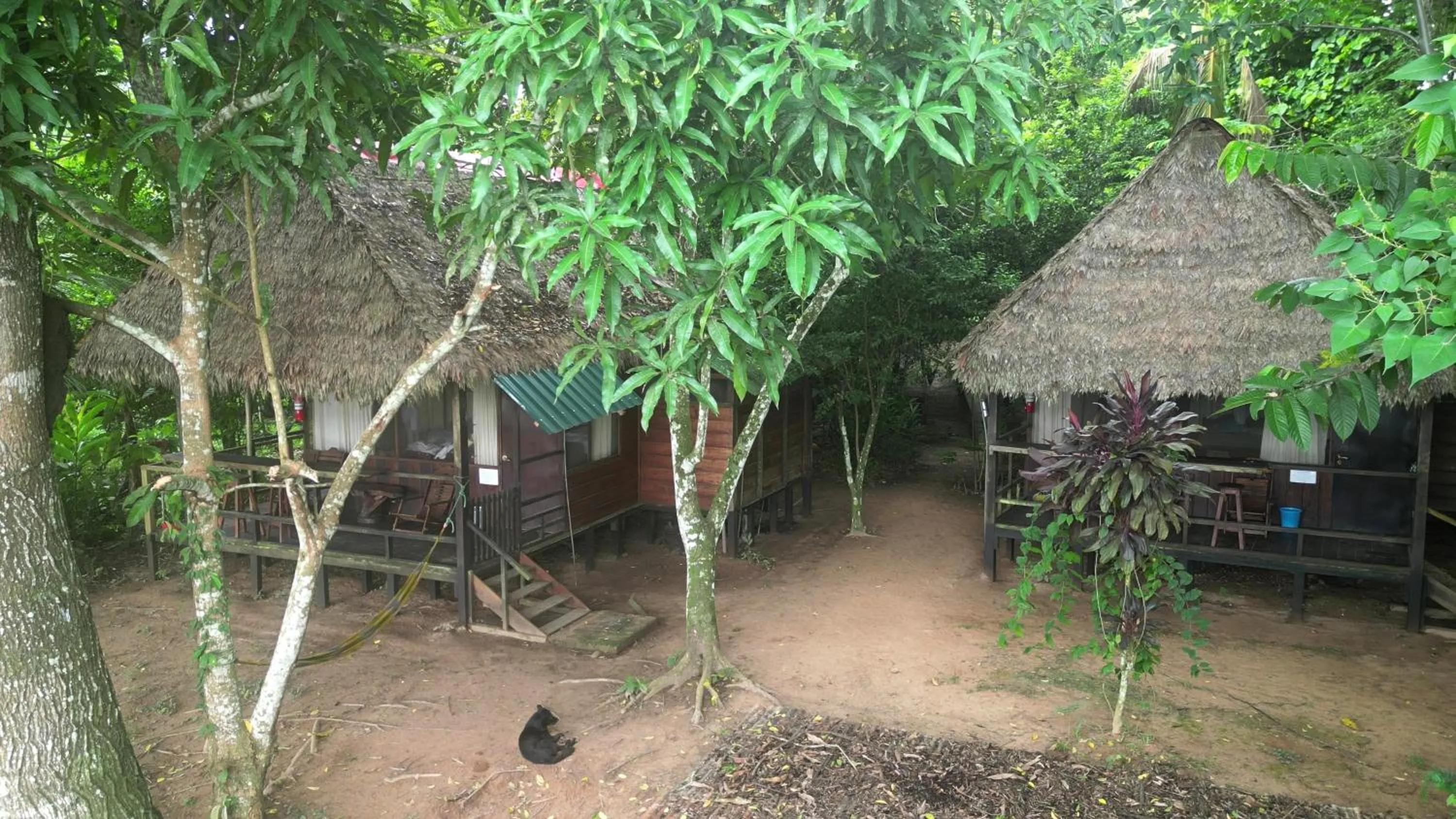 Tambopata River