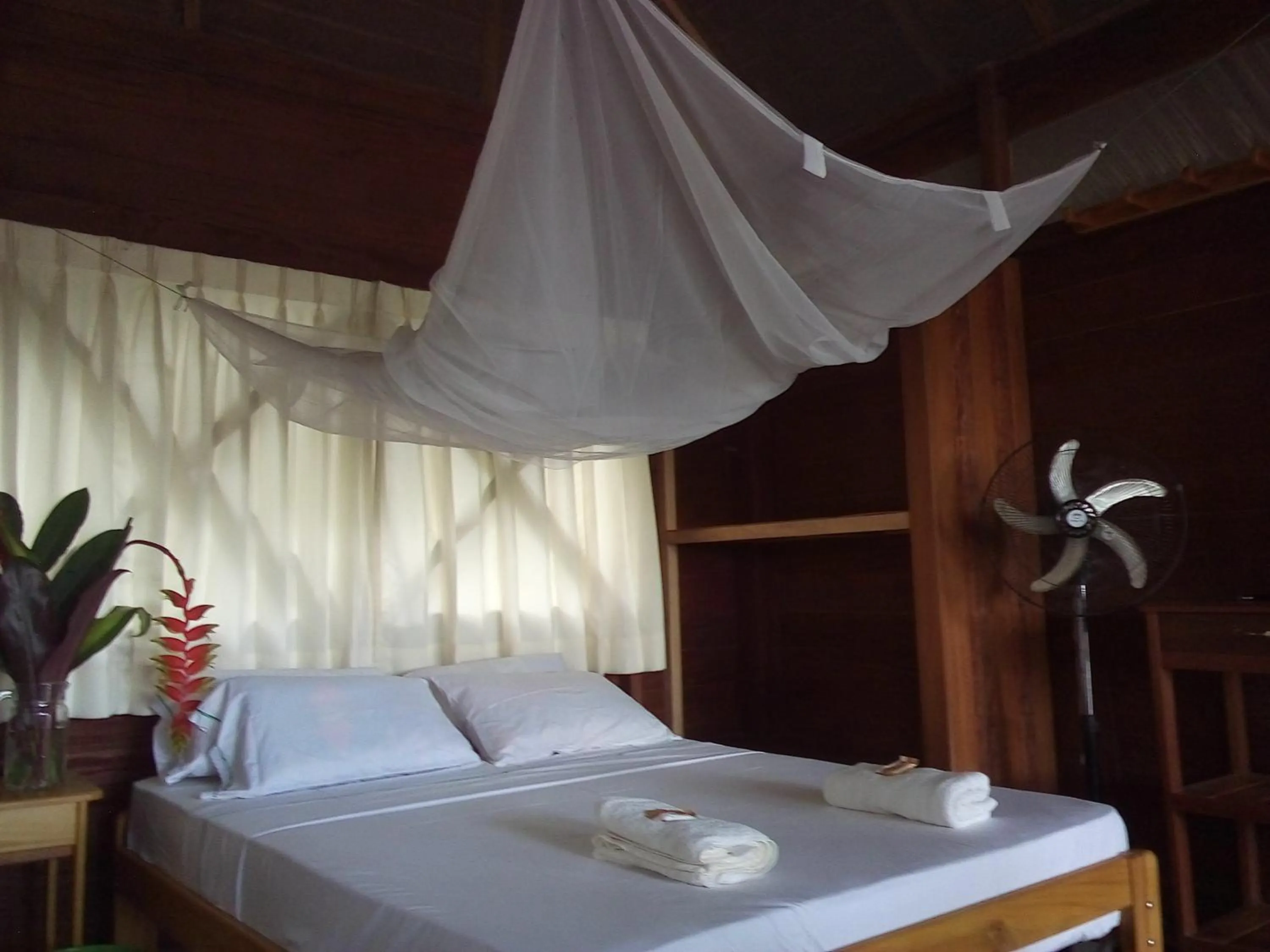 Bed in Tambopata River