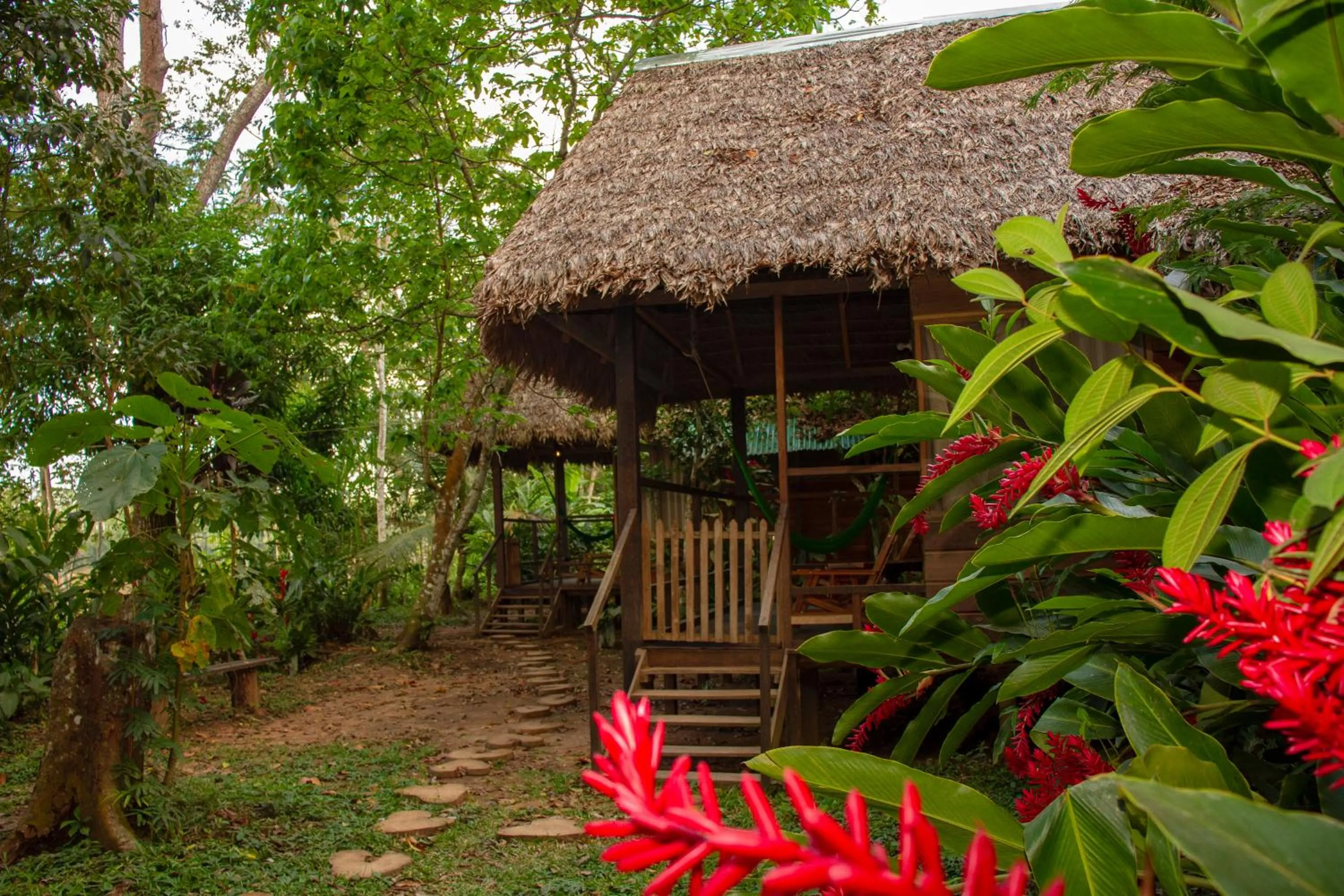 Patio in Tambopata River