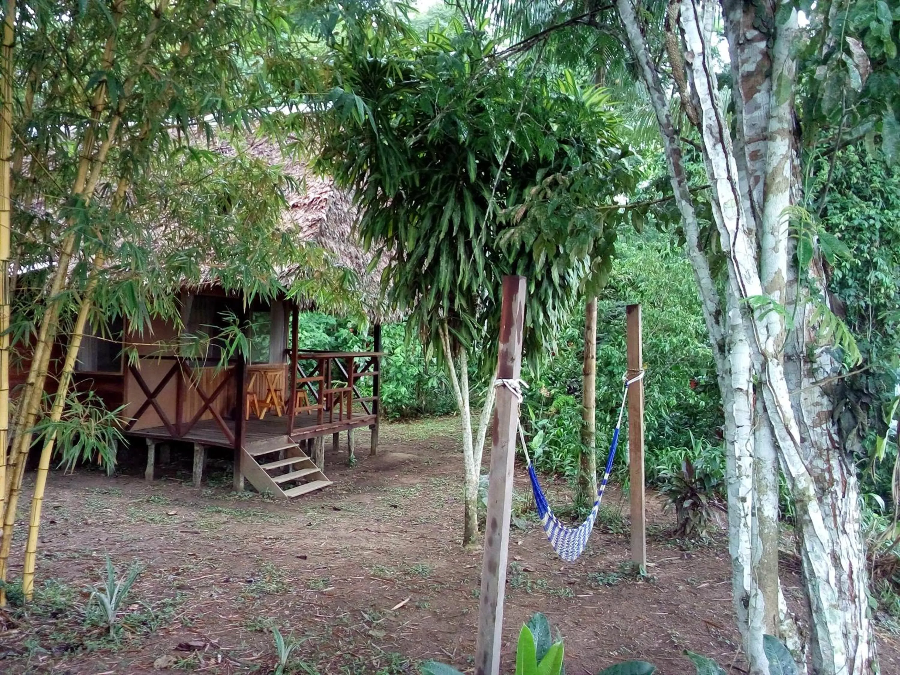 Area and facilities in Tambopata River
