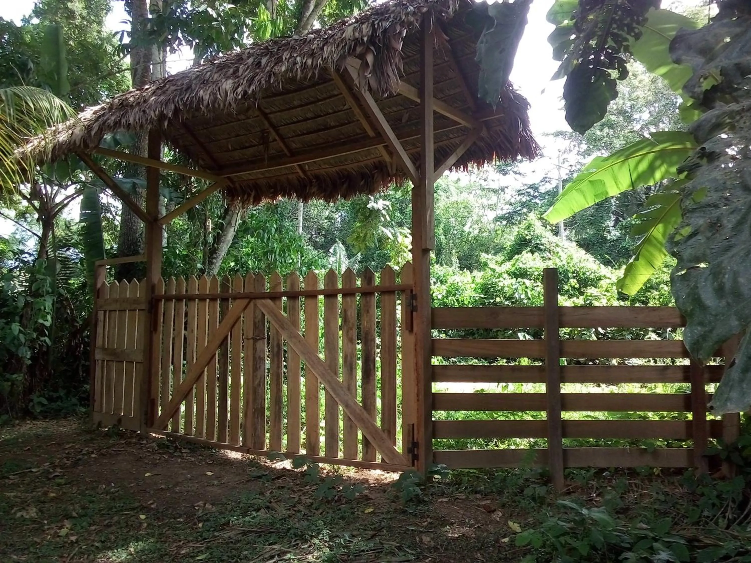 Tambopata River