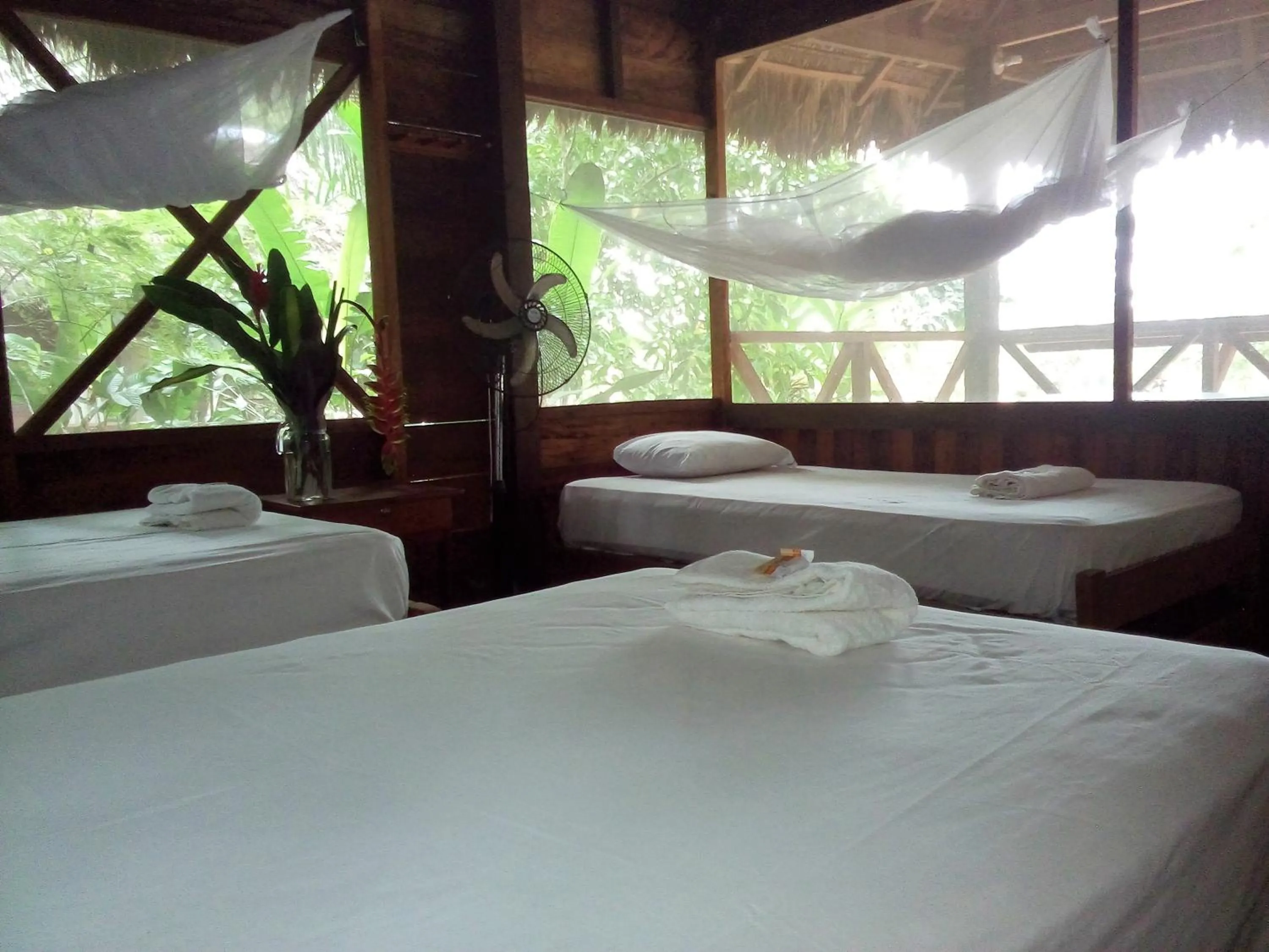 Bed in Tambopata River