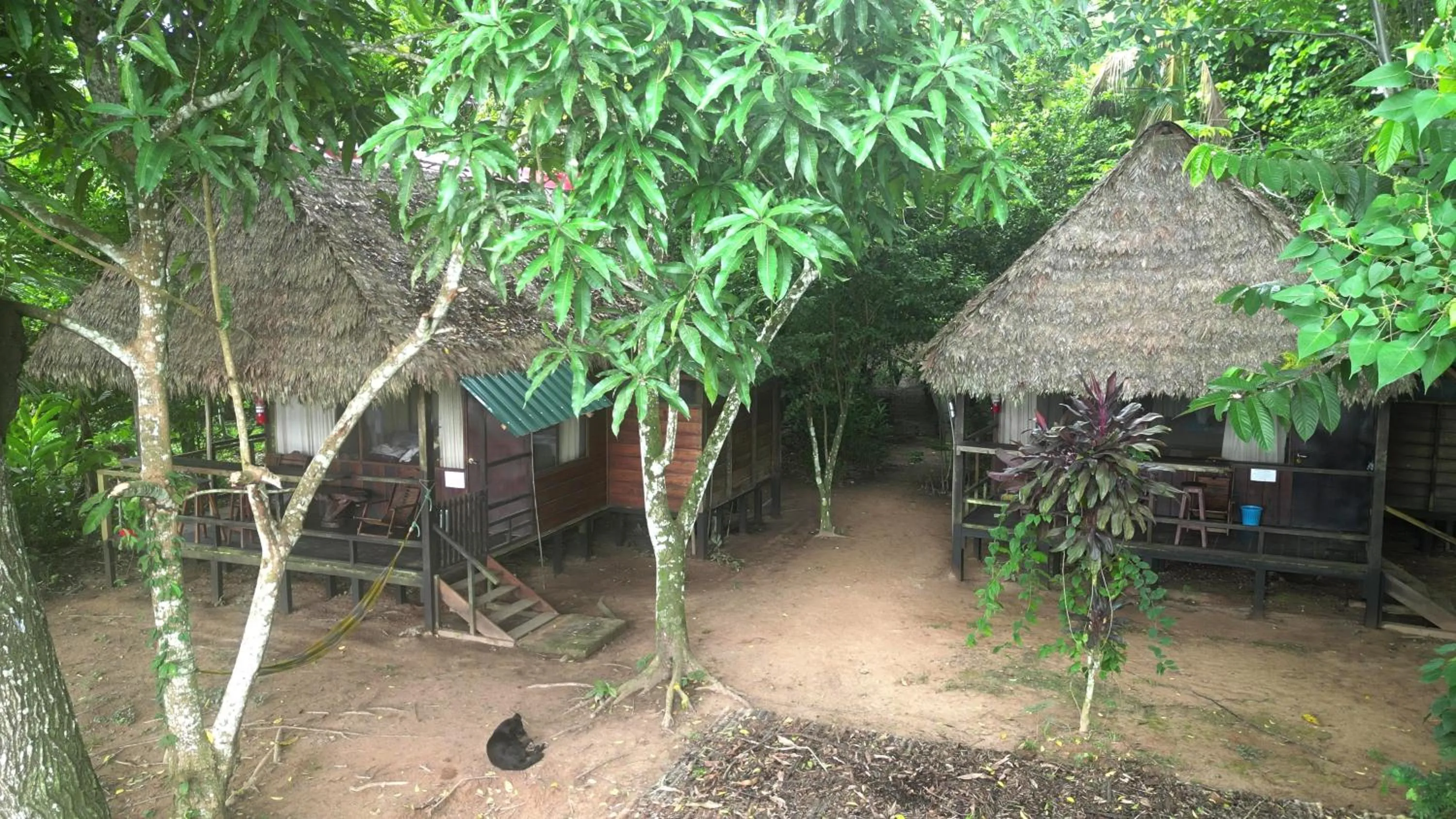 Tambopata River