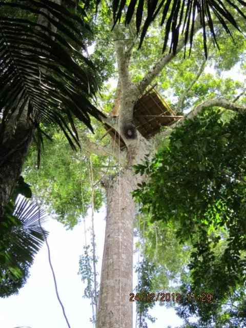 Area and facilities in Tambopata River
